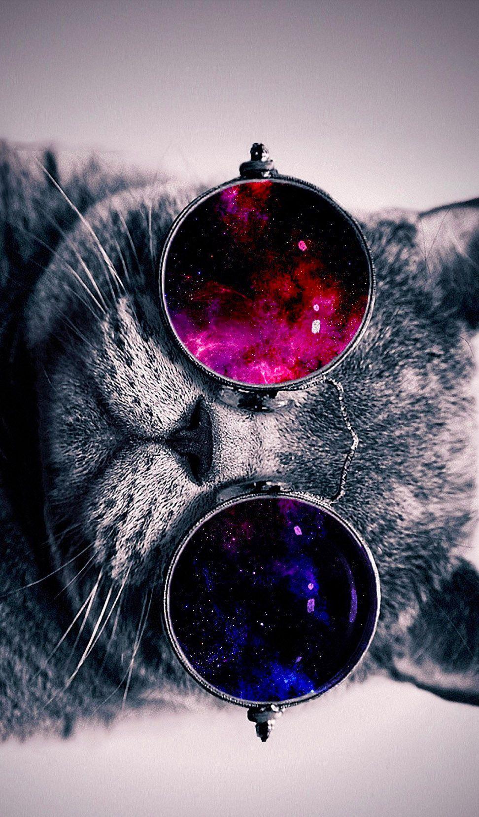 972x1656 Cat With Galaxy Glasses Wallpaper