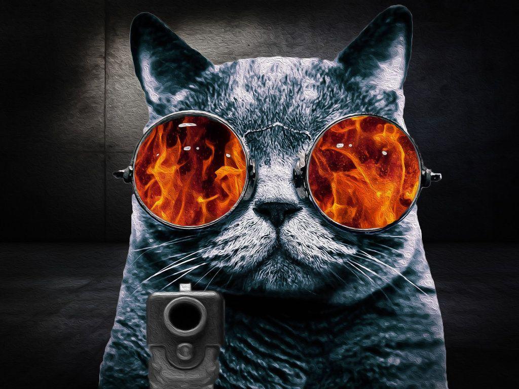 1024x768 Cat With Glasses Wallpaper