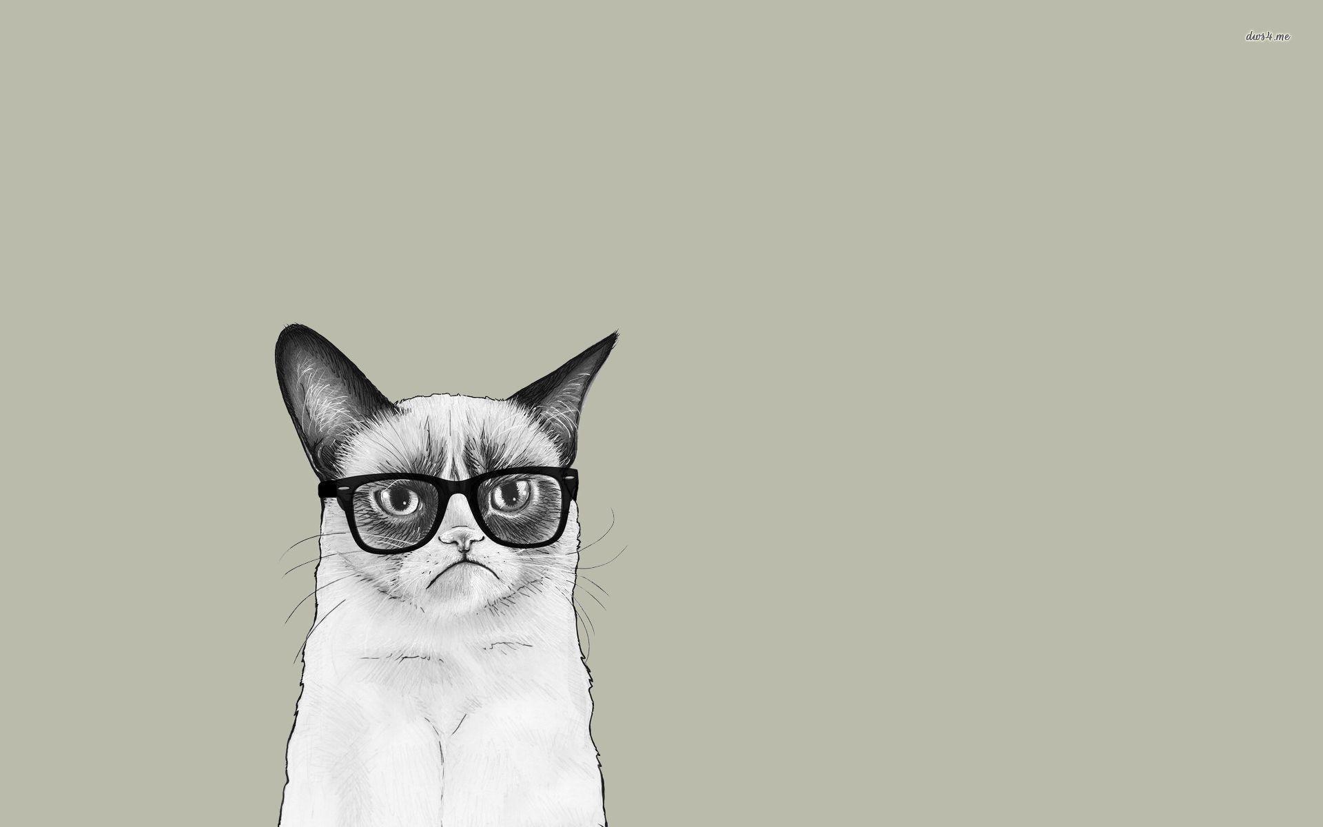1920x1200 Cat With Glasses Wallpaper