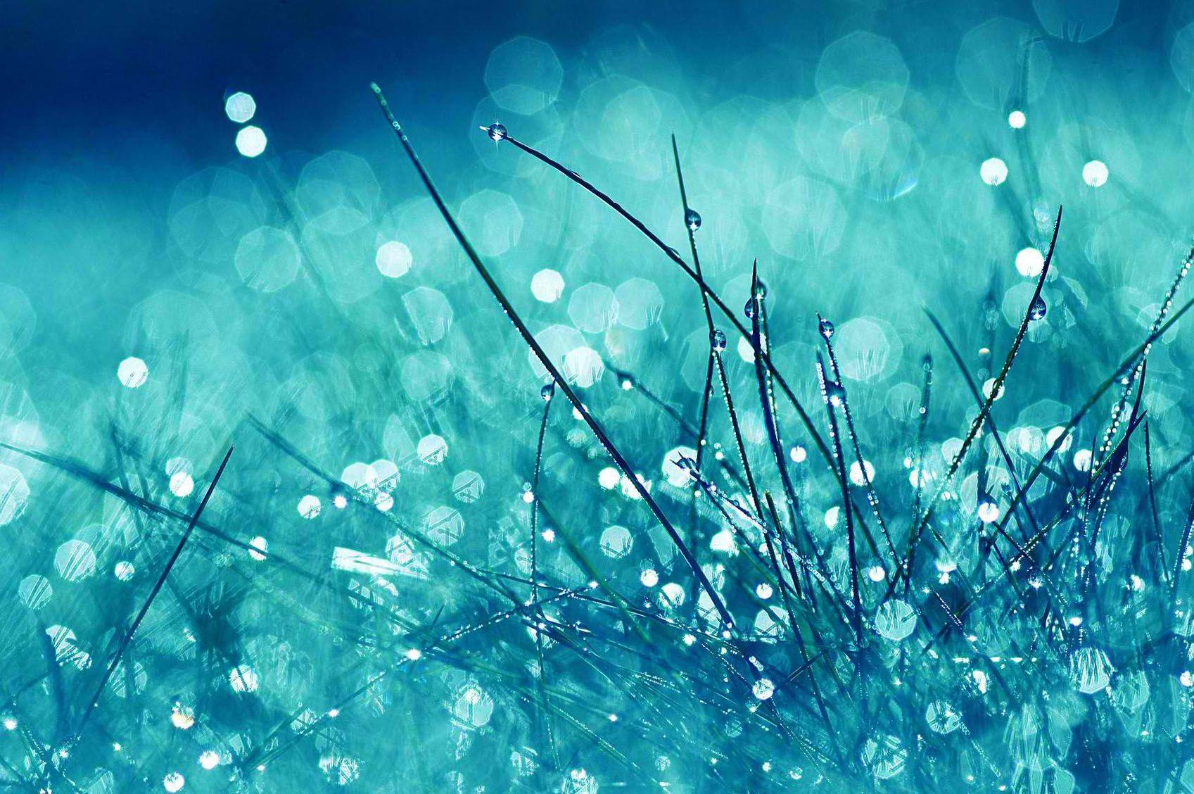 1697x1128 Cool Wallpaper Cute