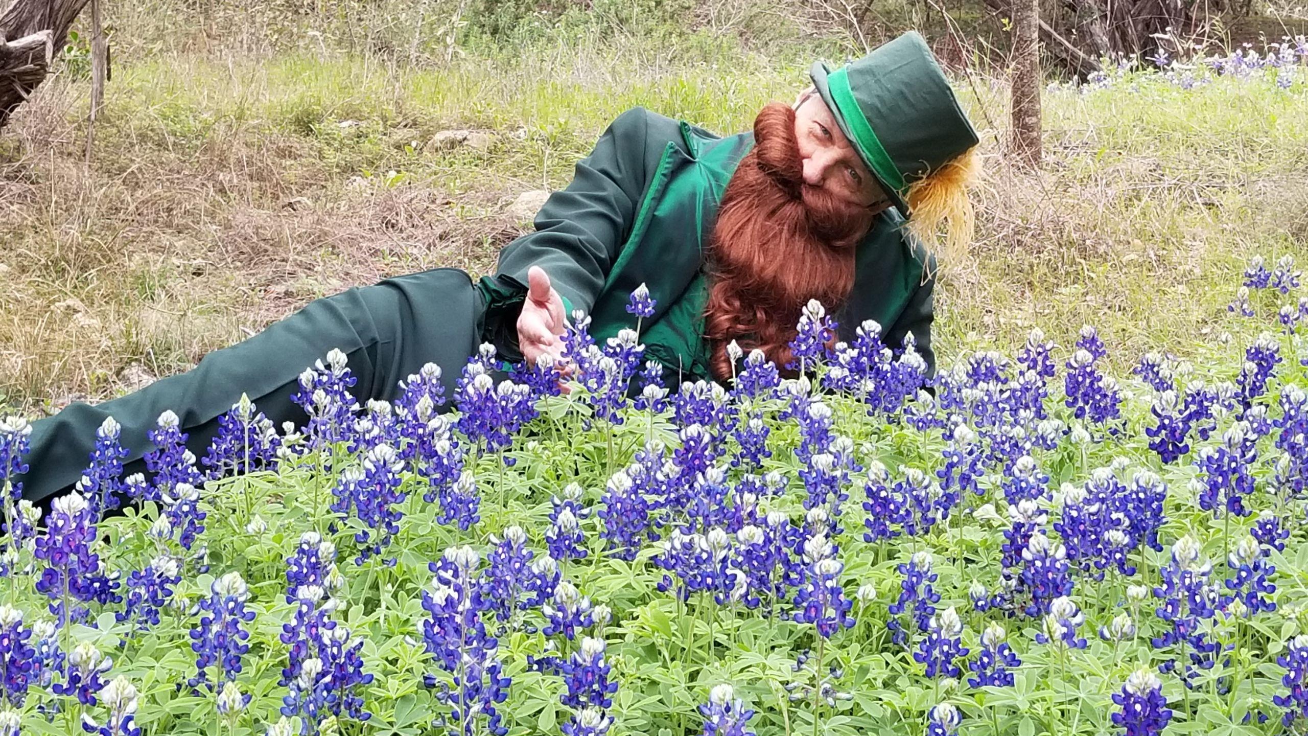 2560x1440 VIEWER PHOTOS: Bluebonnets are blooming everywhere around Austin, Central Texas