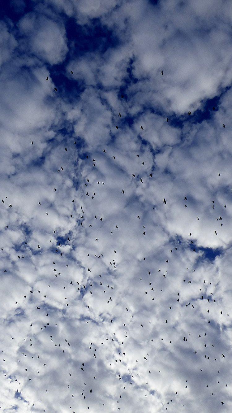 750x1334 SKY CLOUD BIRDS NATURE BLUE WALLPAPER HD IPHONE