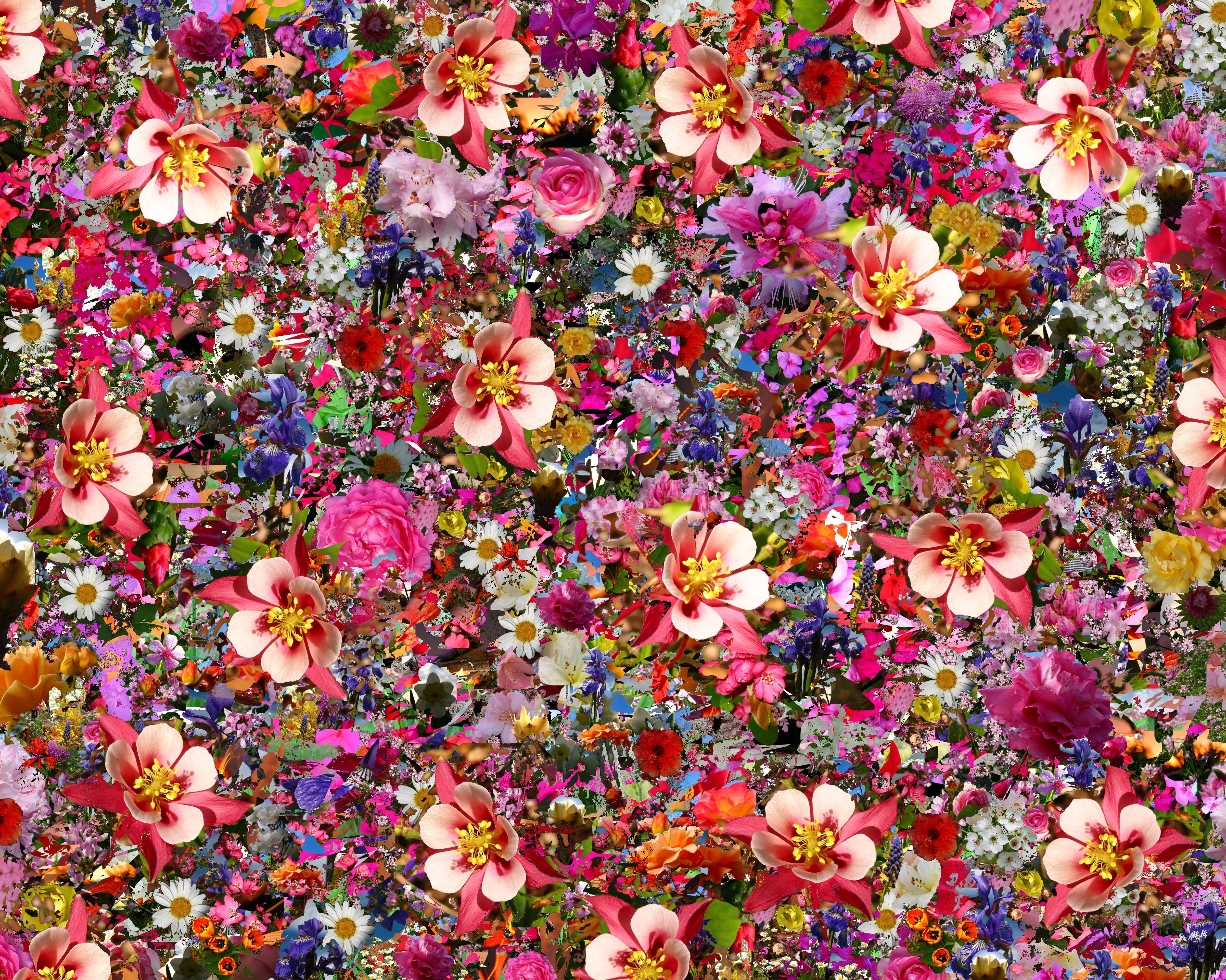 5000x4000 Flower Collage