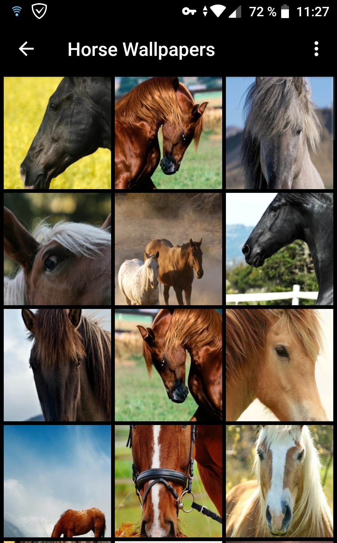 Horse Collage Wallpapers - Top Free Horse Collage Backgrounds ...