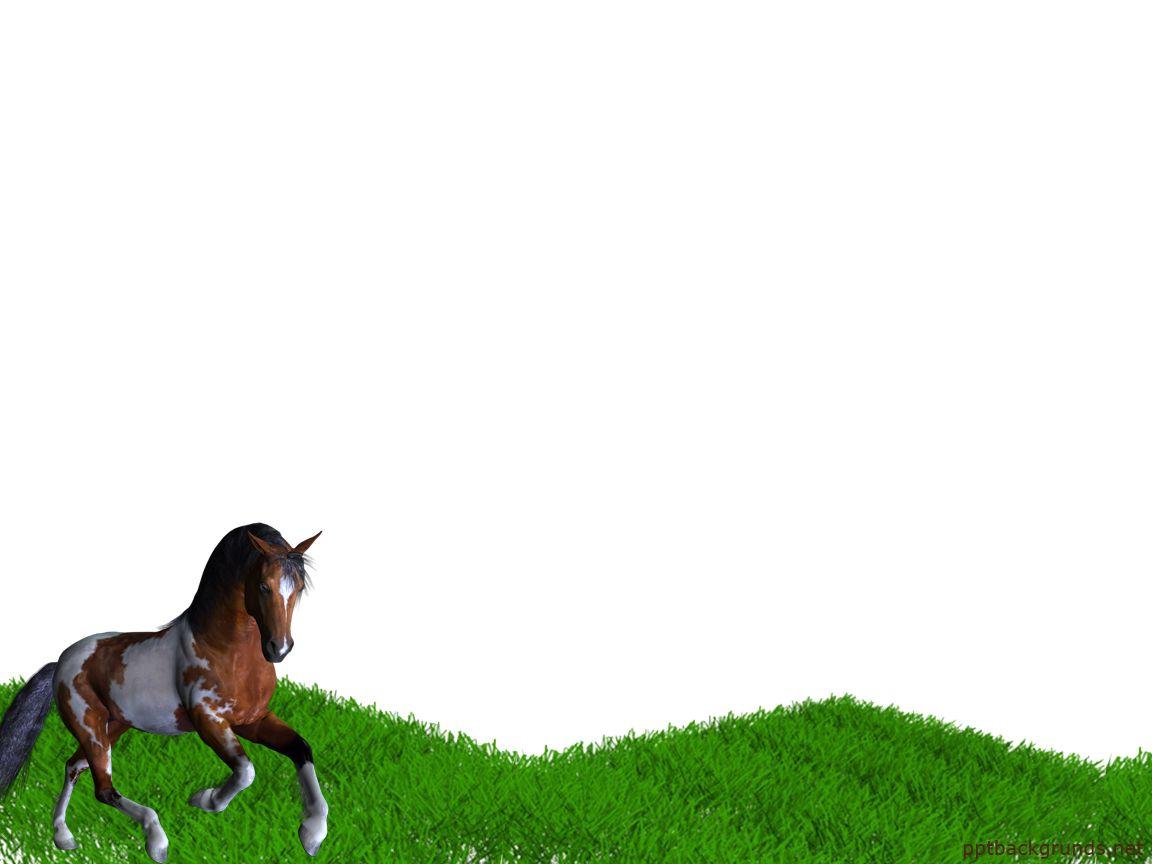 1152x864 Horse PowerPoint Background. Awsome PowerPoint Background, Awesome PowerPoint Background and Tablet PowerPoint Background