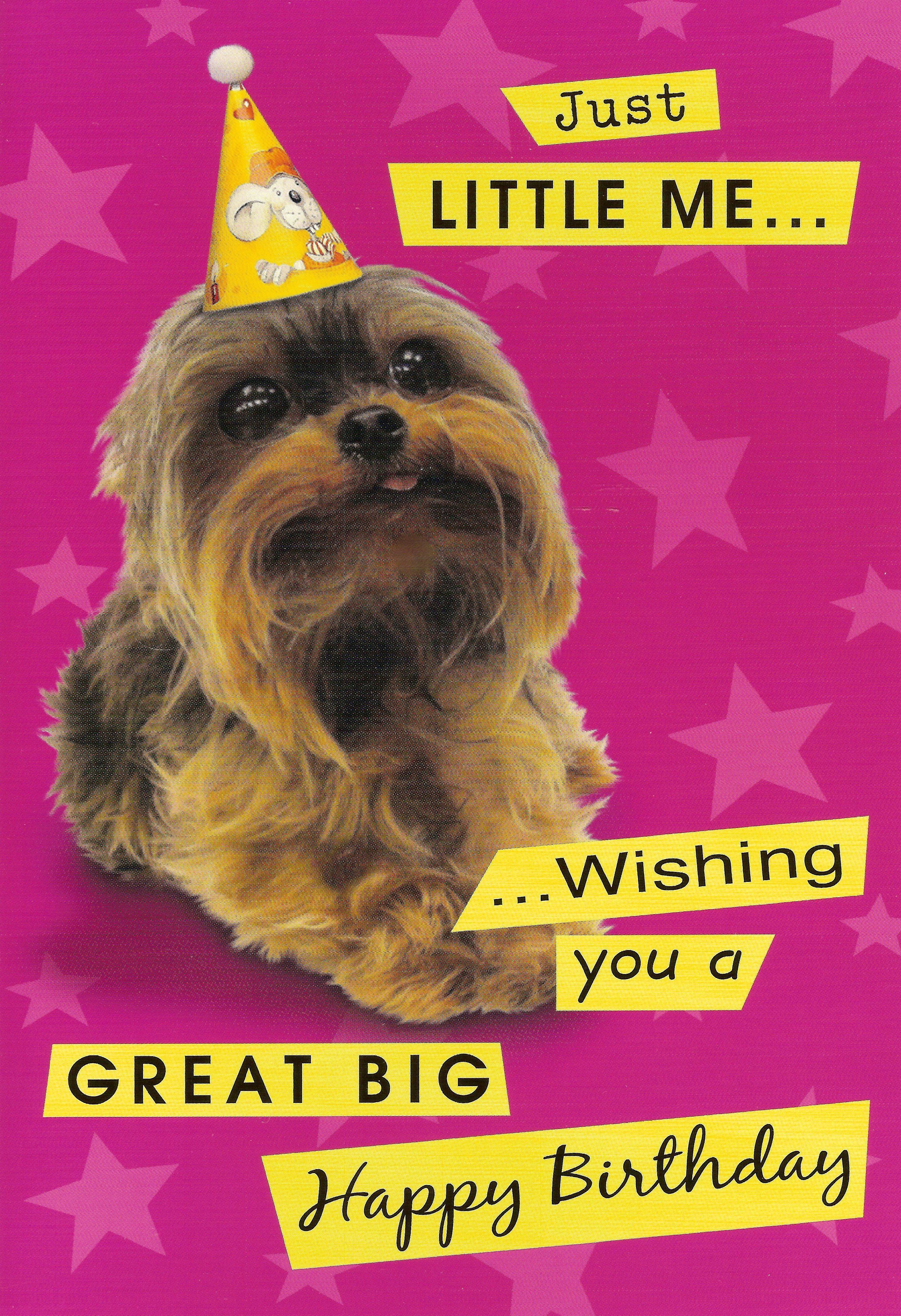 3156x4614 BeSty. Just Little Me. Wishing You A Great Big Happy Birthday! Yorkie Birthday Card. Happy birthday dog, Happy birthday picture, Dog birthday