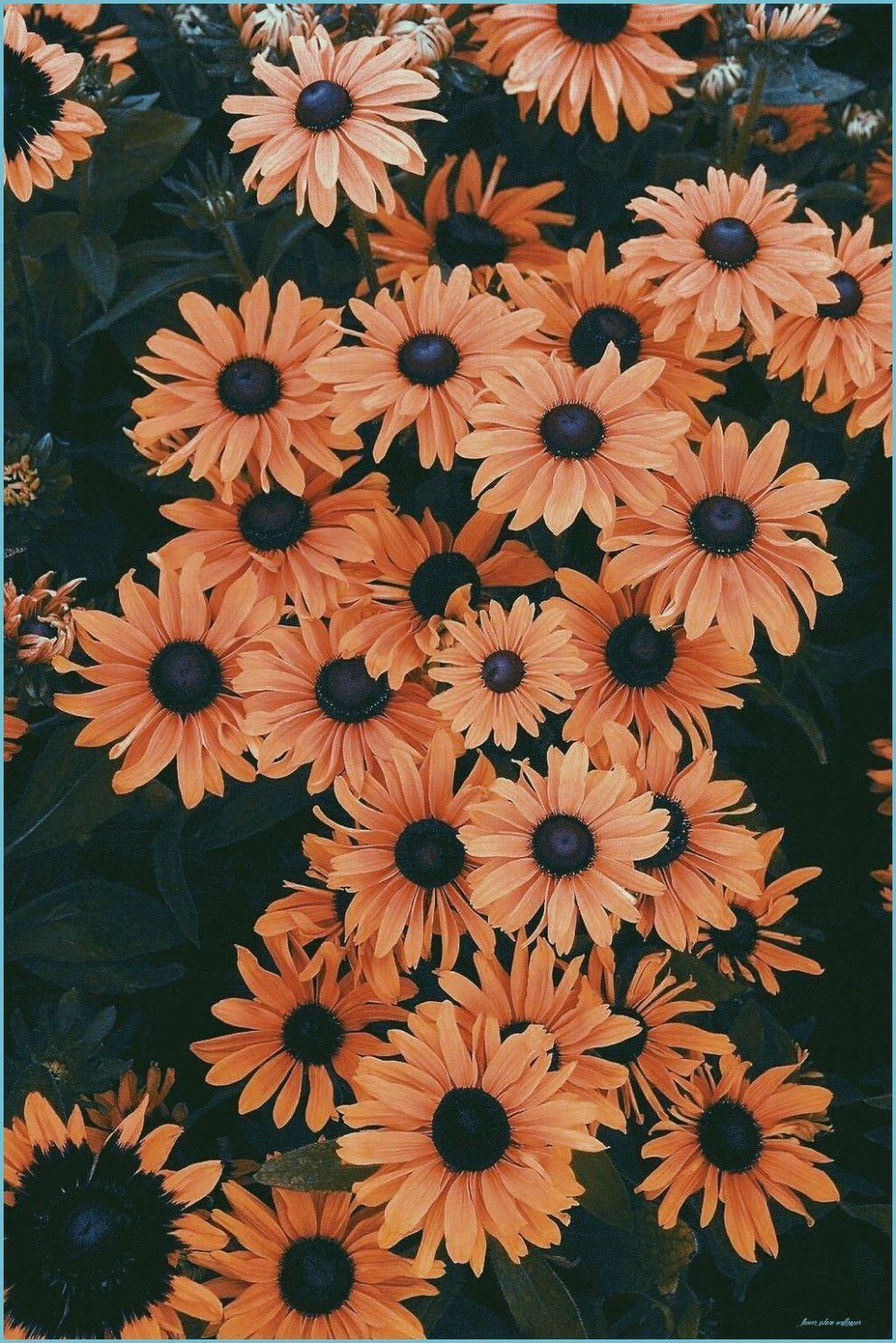 993x1489 Floral iPhone Wallpaper