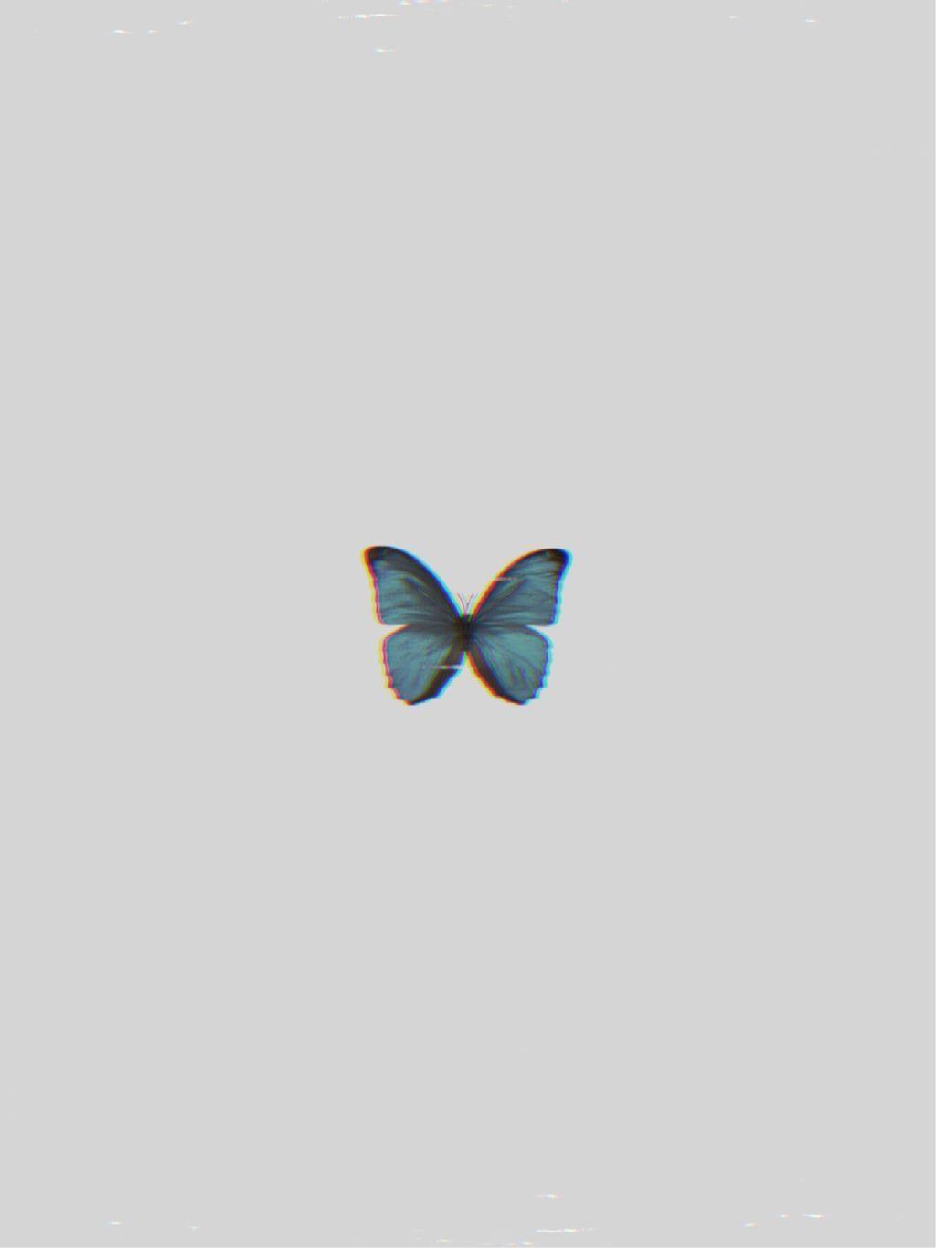 1024x1365 Butterfly Wallpaper Vhs
