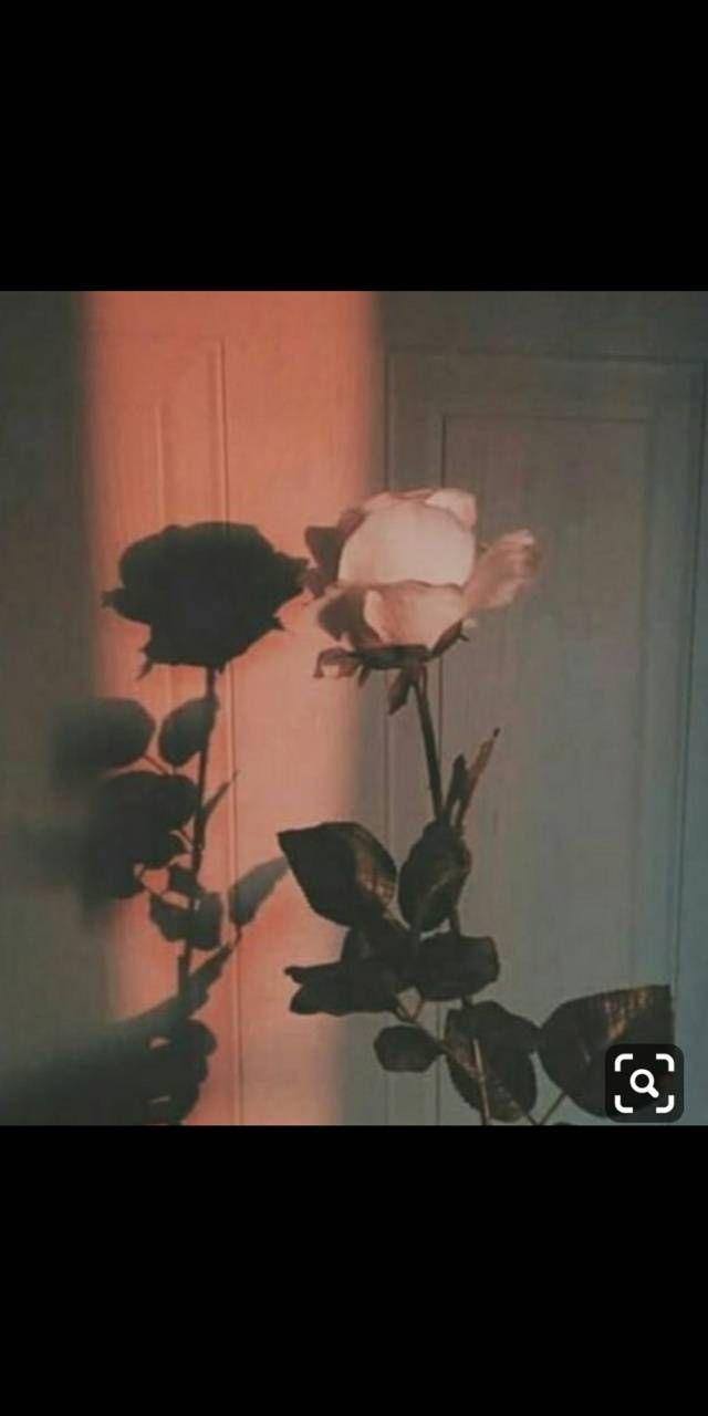 640x1280 90s vhs wallpaper