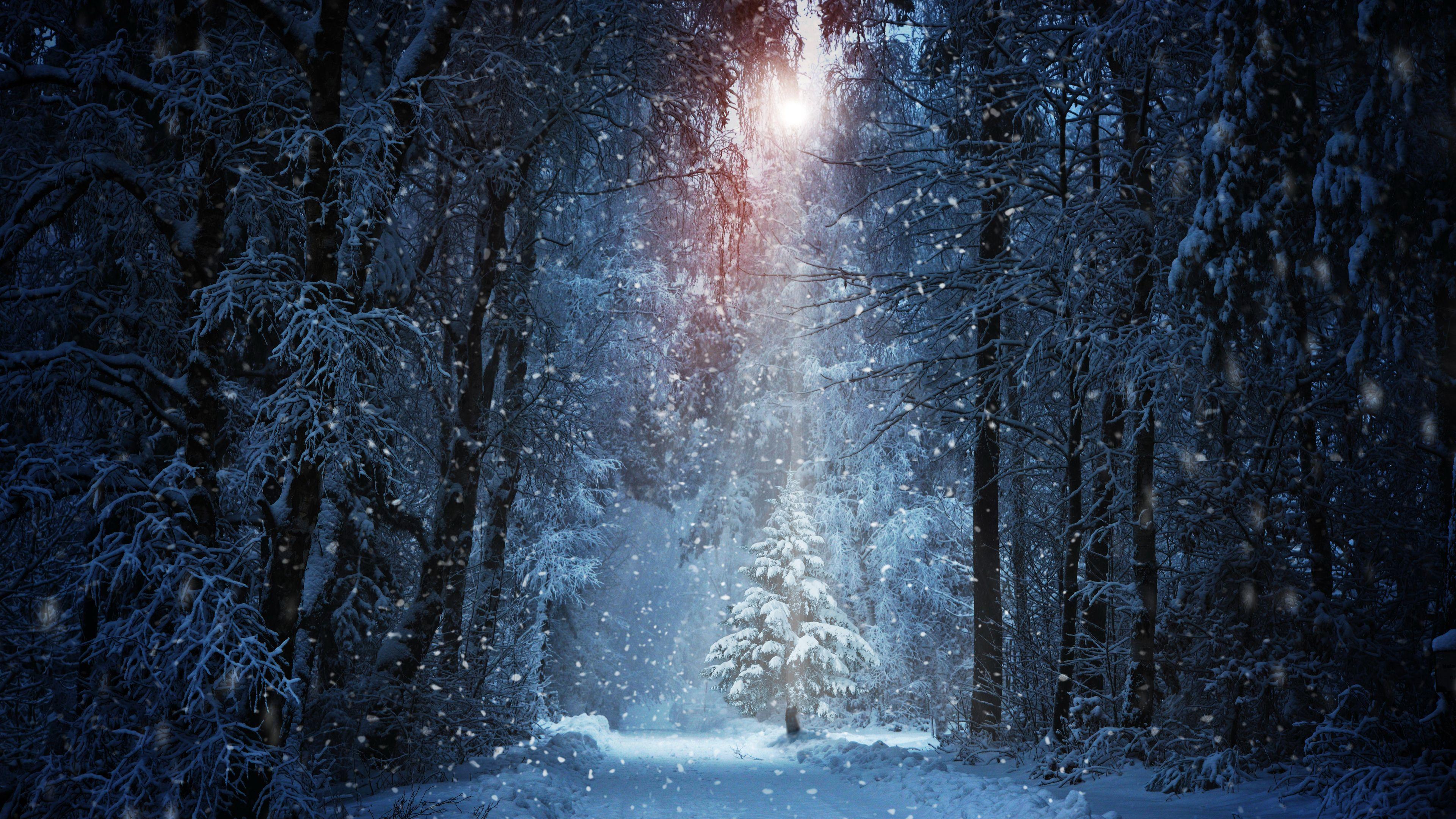 3840x2160 Snowy Winter Landscape