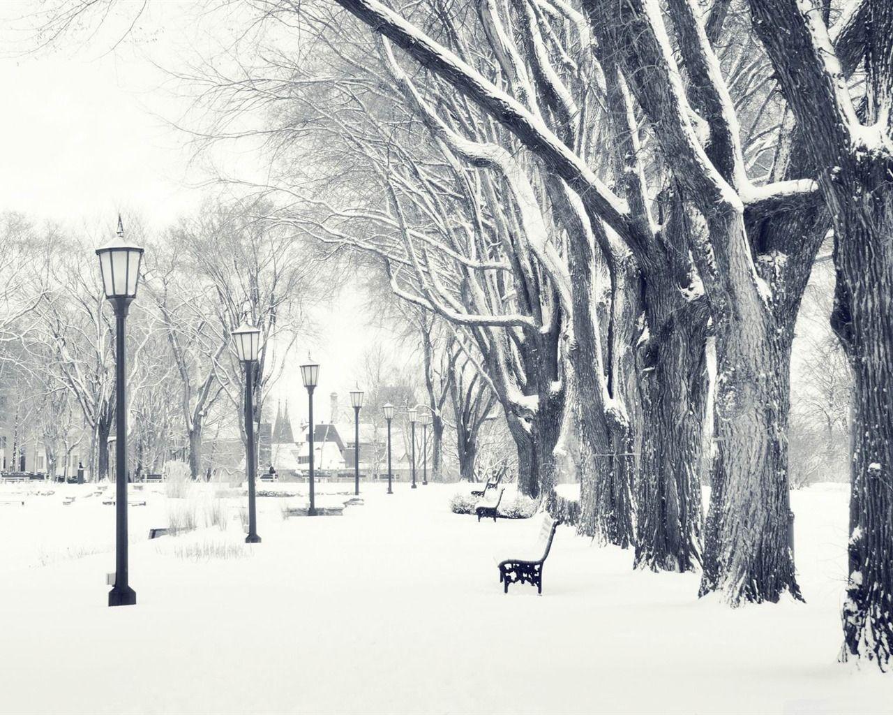 1280x1024 Snowy Scene Wallpaper