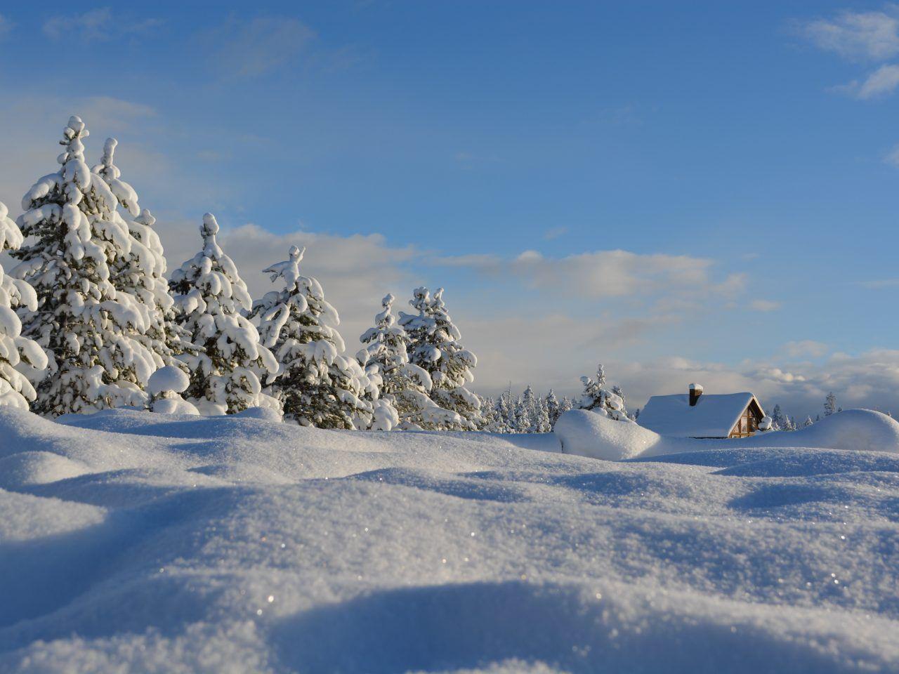 1280x960 Snowy Winter Wallpaper : High Definition, High Resolution HD Wallpaper