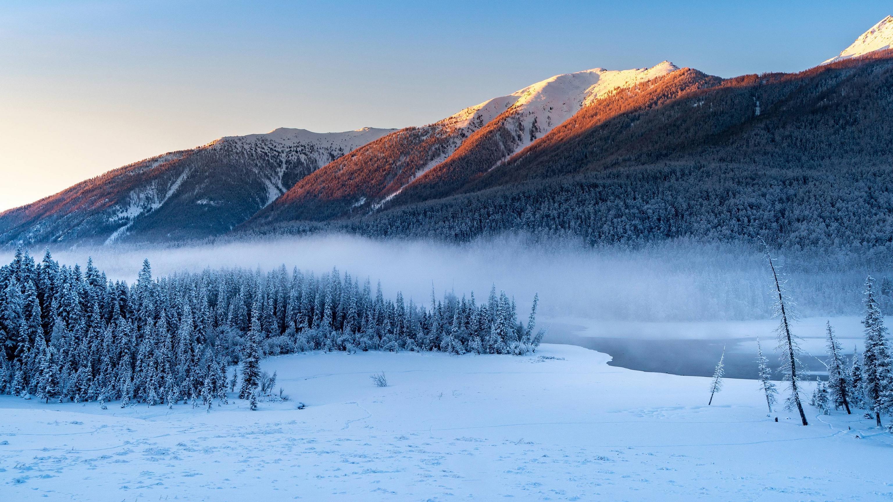 3072x1728 Forest Snowy Winter Mountains Wallpaper, HD Nature 4K Wallpaper, Image, Photo and Background
