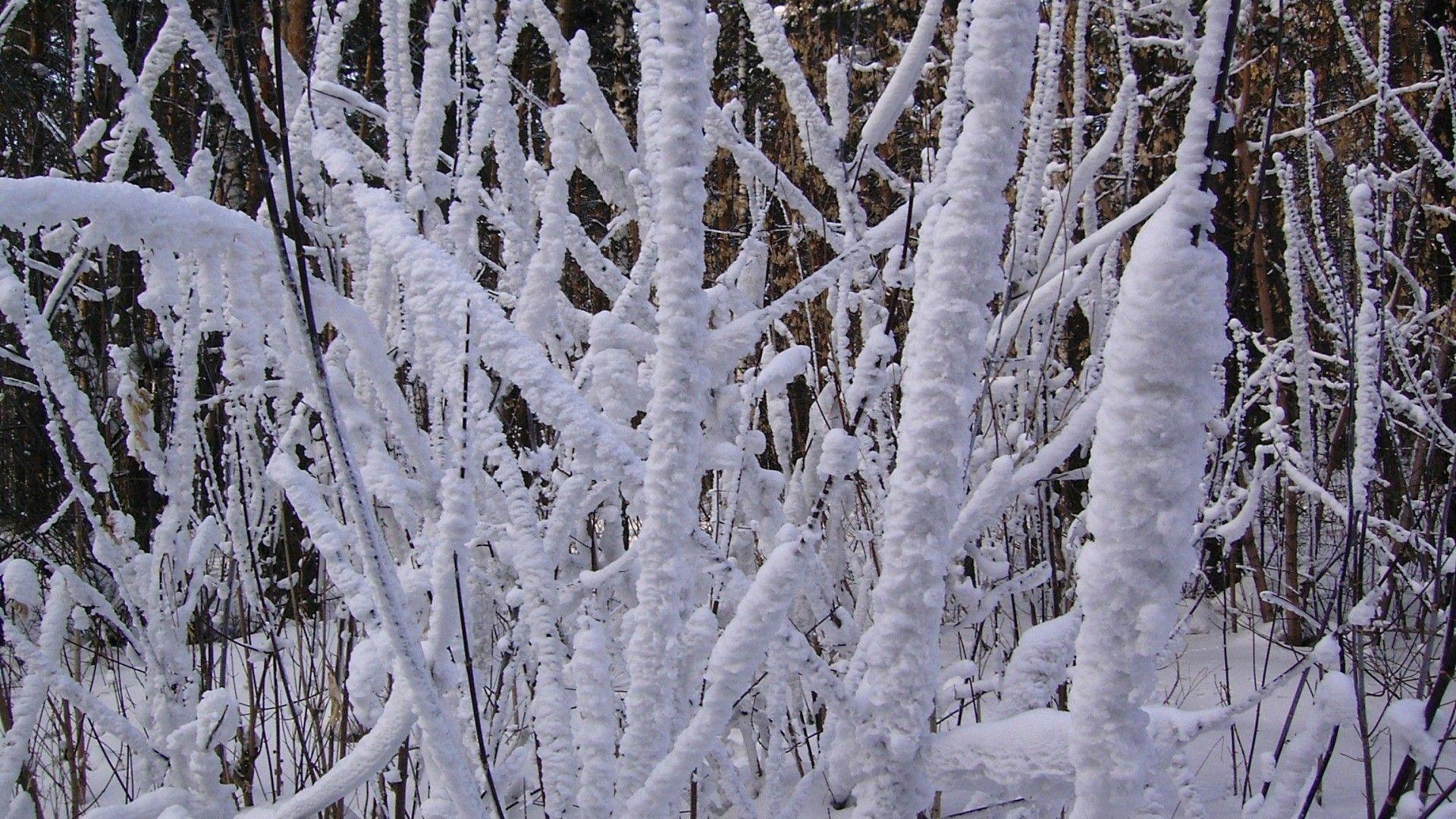 1920x1080 Beautiful Snowy Winter Wallpaper Download