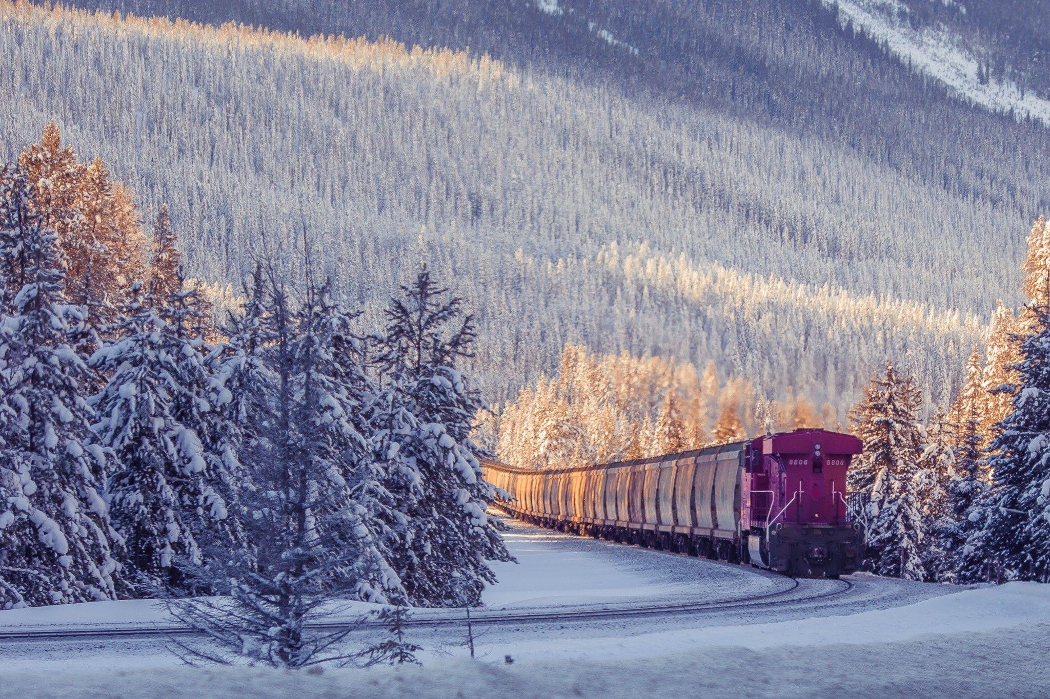 2048x1365 Snowy Winter Scene Wallpaper
