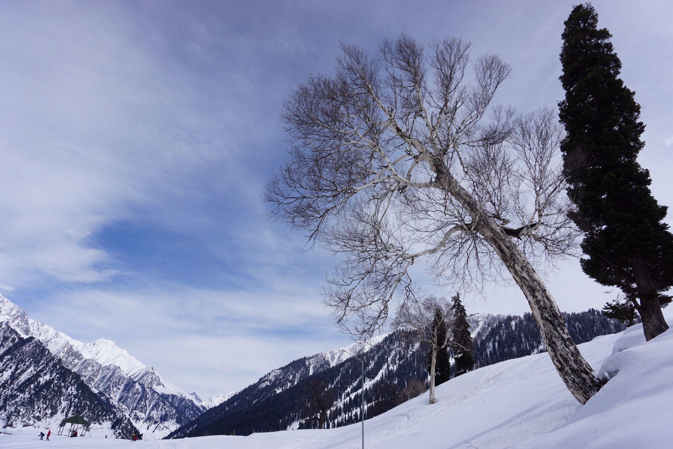 2304x1536 Snowy Winter Season Wallpaper