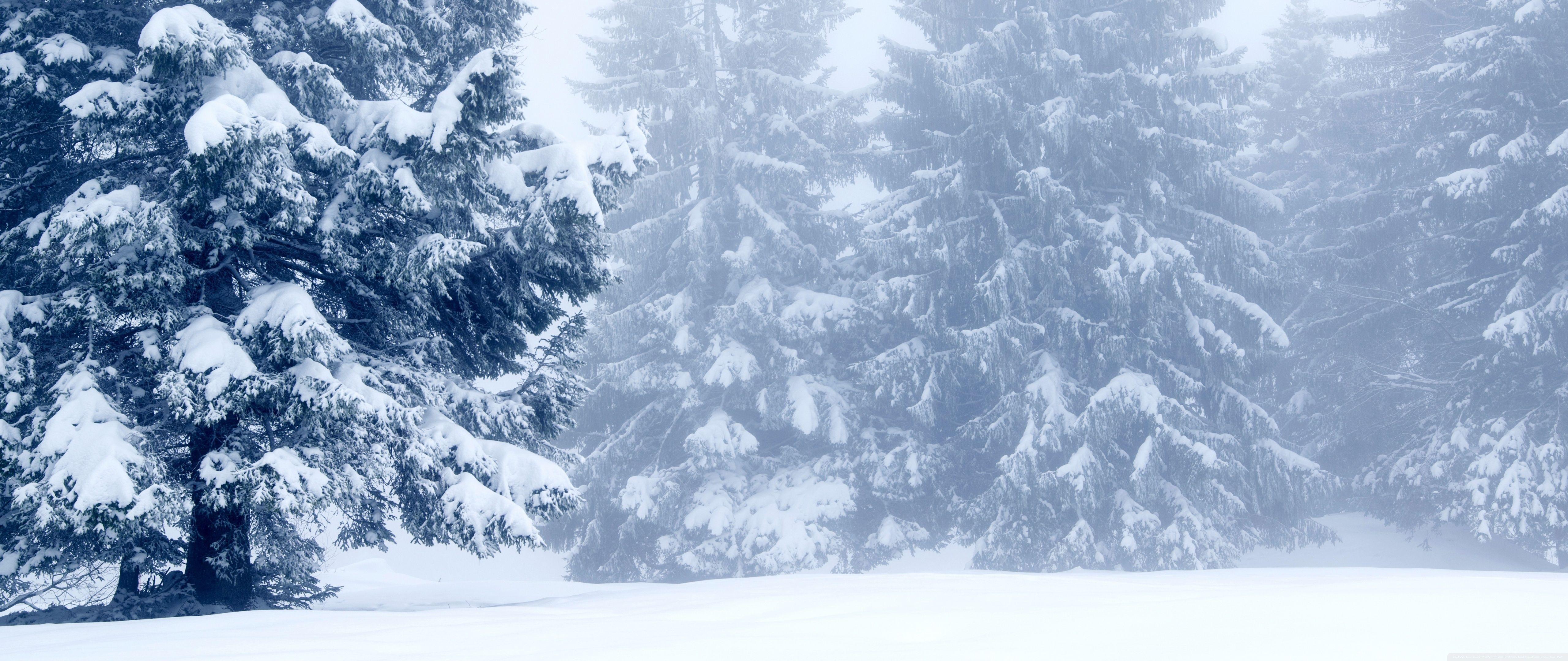 3440x1440 Winter Wallpapers Top Free 3440x1440 Winter Backgrounds