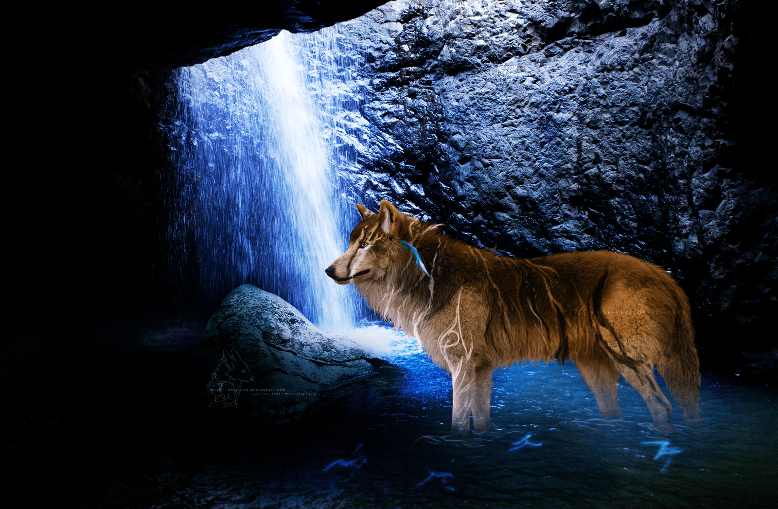 1600x1047 Awesome Wolf .