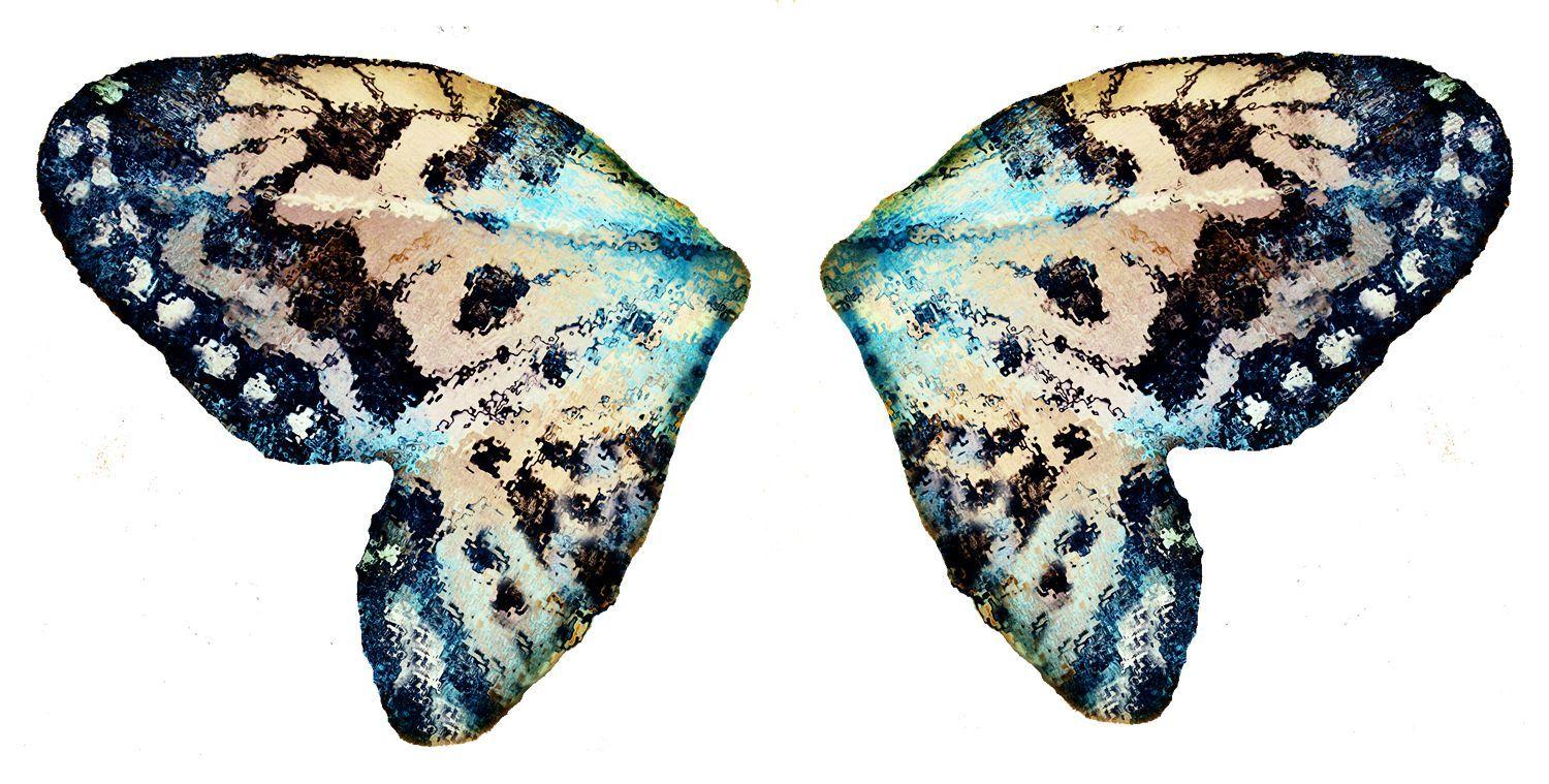 1500x759 Butterfly Wings HD Wallpaper. Animals Wallpaper. Butterfly wings, Butterfly wing tattoo, Butterfly watercolor