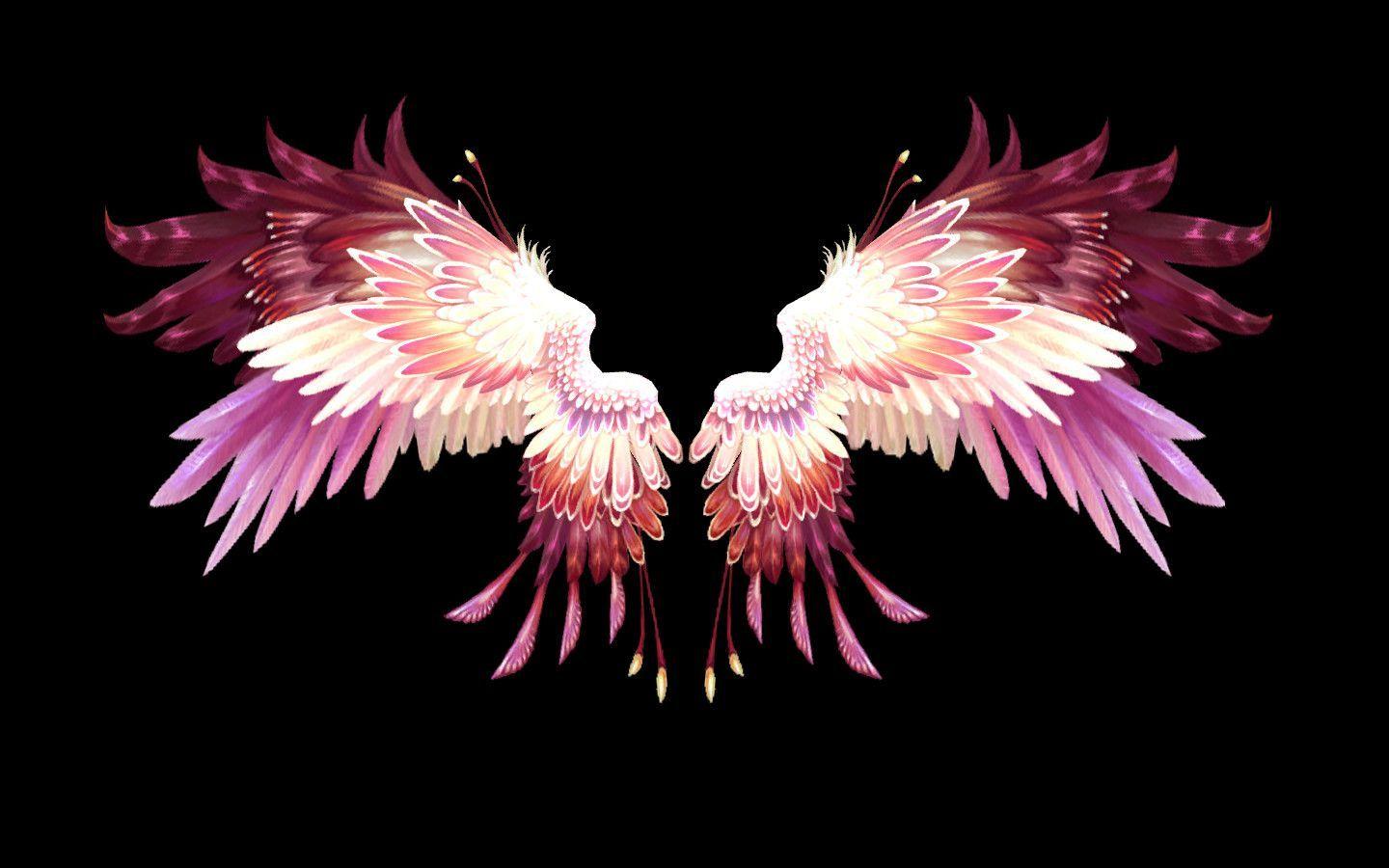 Pink Wings Wallpapers - Top Free Pink Wings Backgrounds - WallpaperAccess