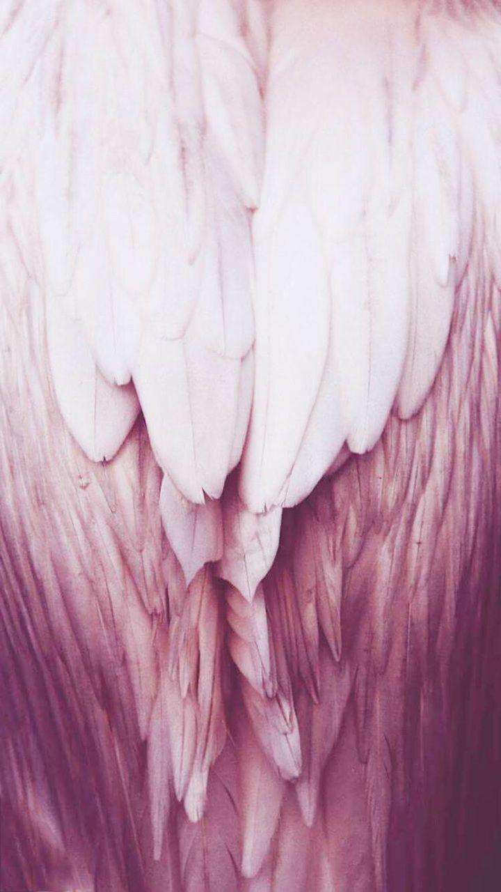 720x1280 Image About Pink In IPhone Wallpaper By Kareem Xx