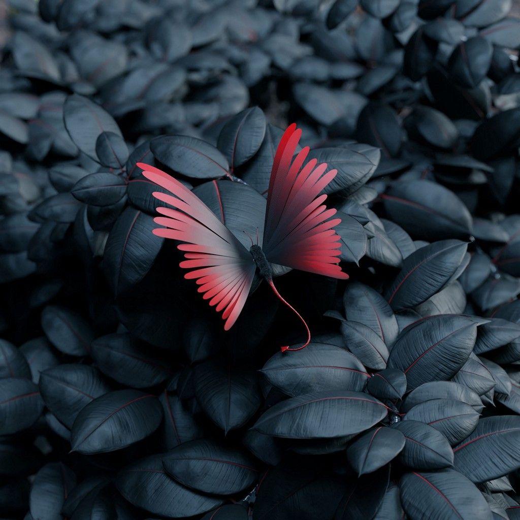 1024x1024 Butterfly Leaves Wings Wallpaper Wallpaper iPhone Xsmax Wallpaper & Background Download