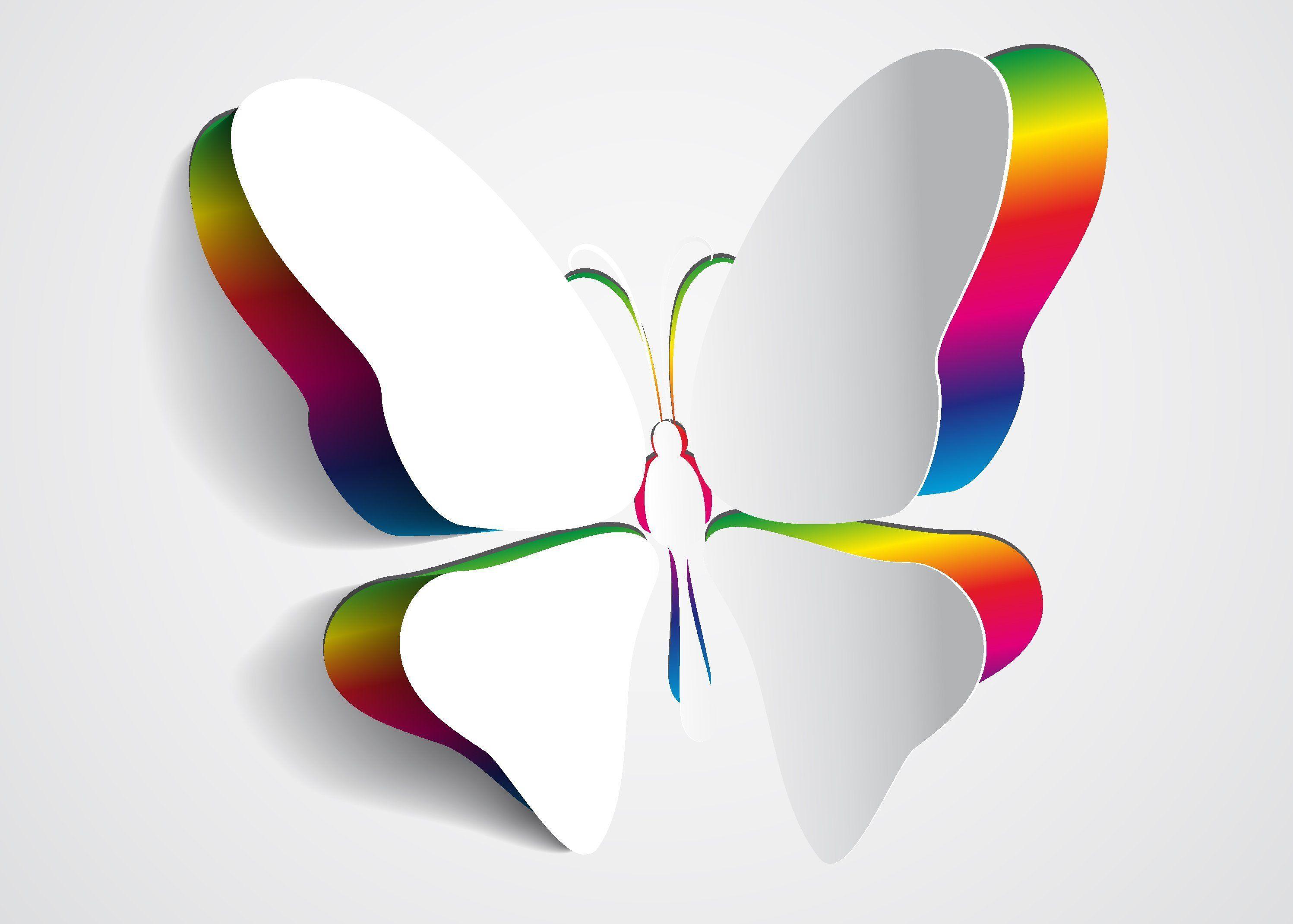 2995x2142 White butterfly wings wallpaper and image, picture, photo