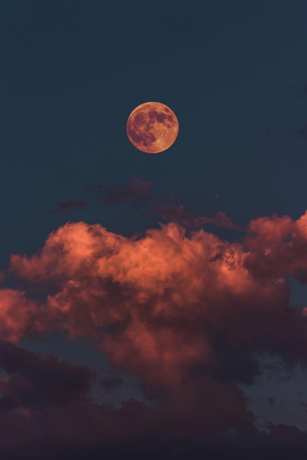 1000x1500 Autumn Night Picture. Download Free Image