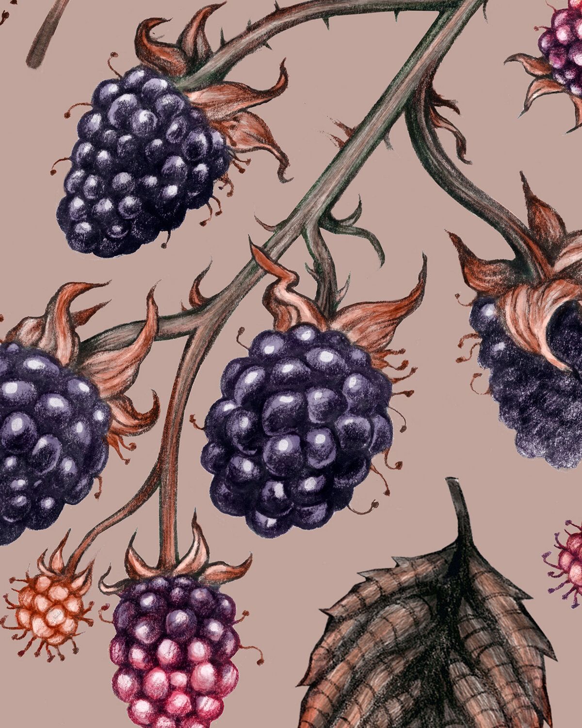 1200x1500 Bramble Hill Vintage