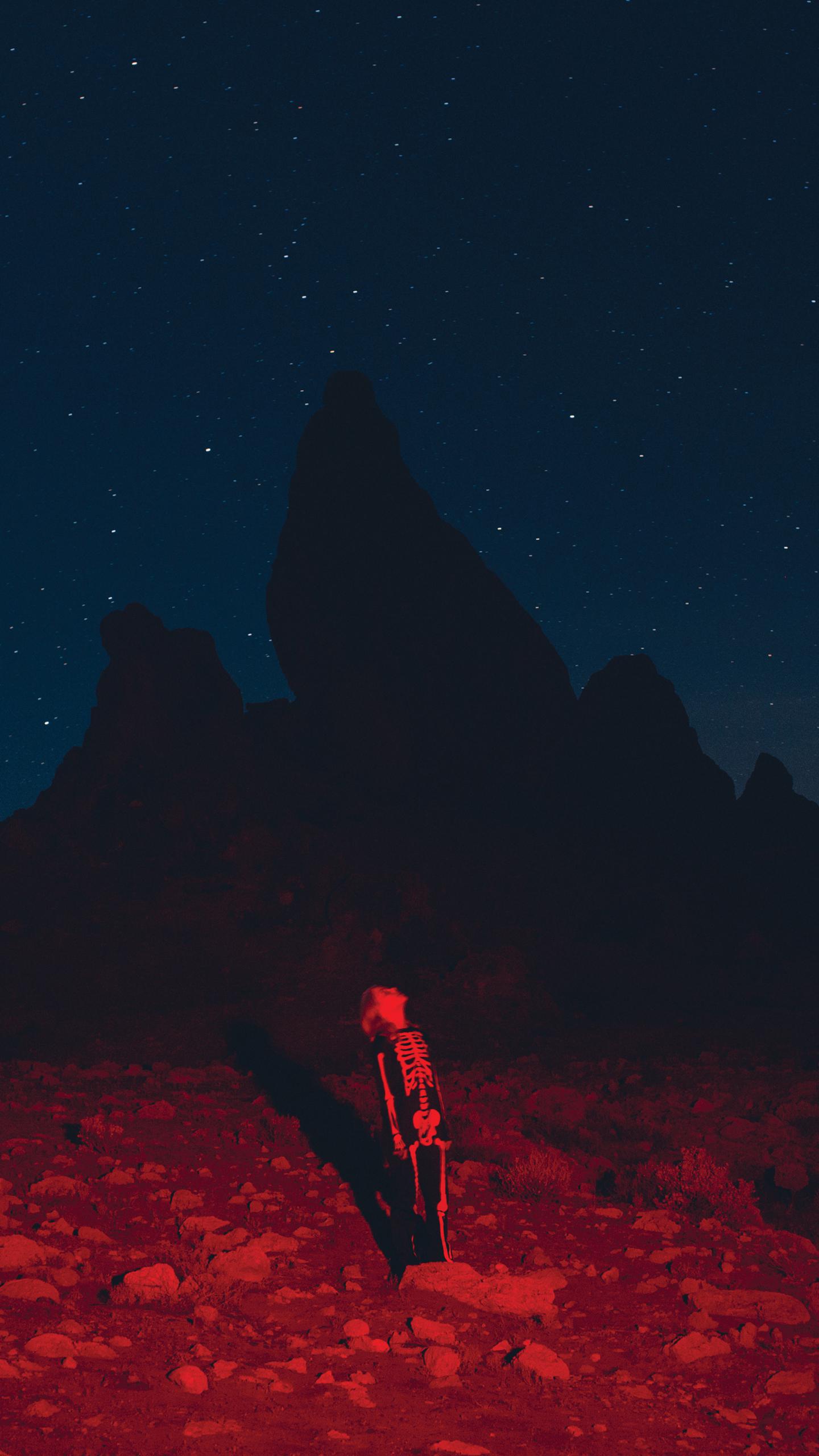1440x2560 Stranger In The Alps Wallpaper