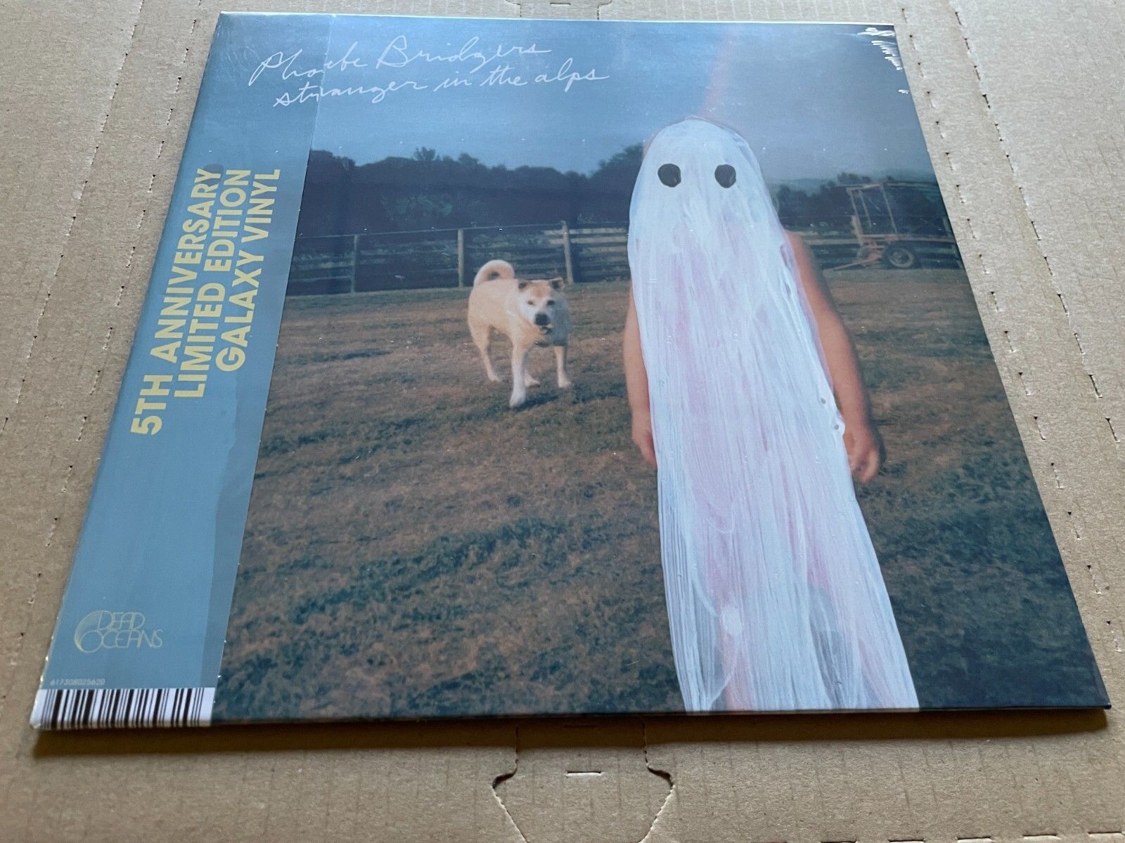 1600x1200 NEW SUPER RARE Phoebe Bridgers in the Alps GALAXY Vinyl LP