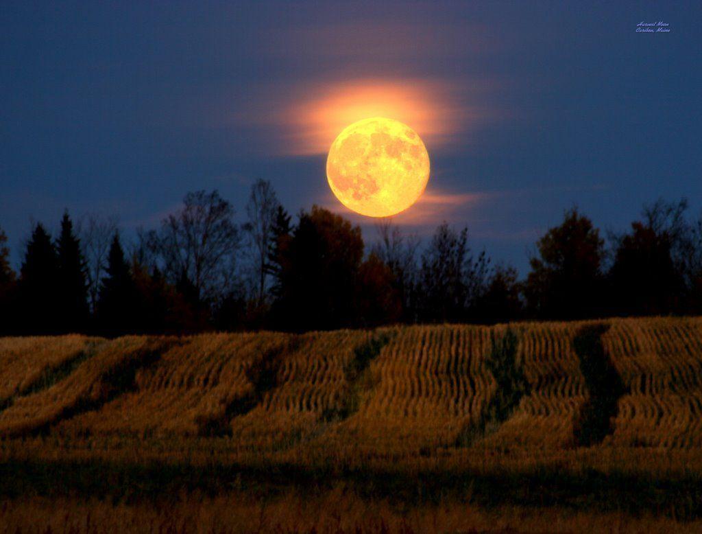 Autumn Moon Wallpapers Top Free Autumn Moon Backgrounds WallpaperAccess