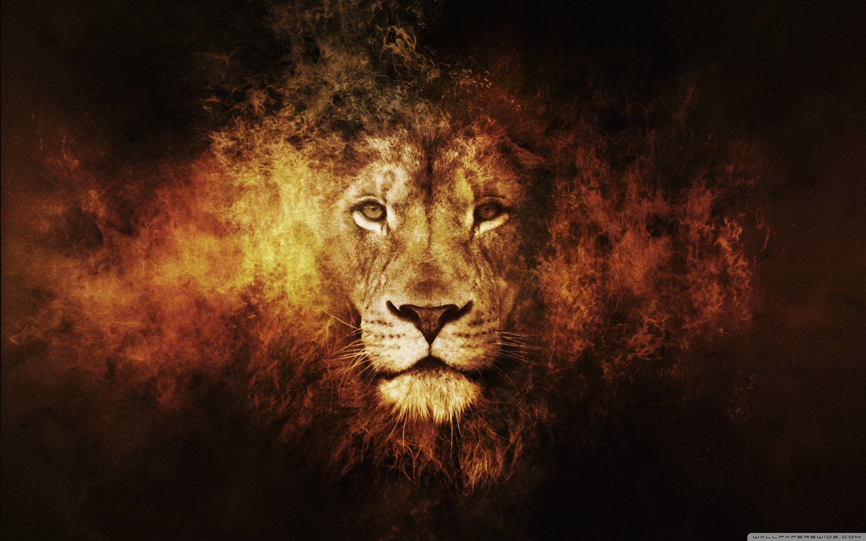 2880x1800 Lion Desktop Background