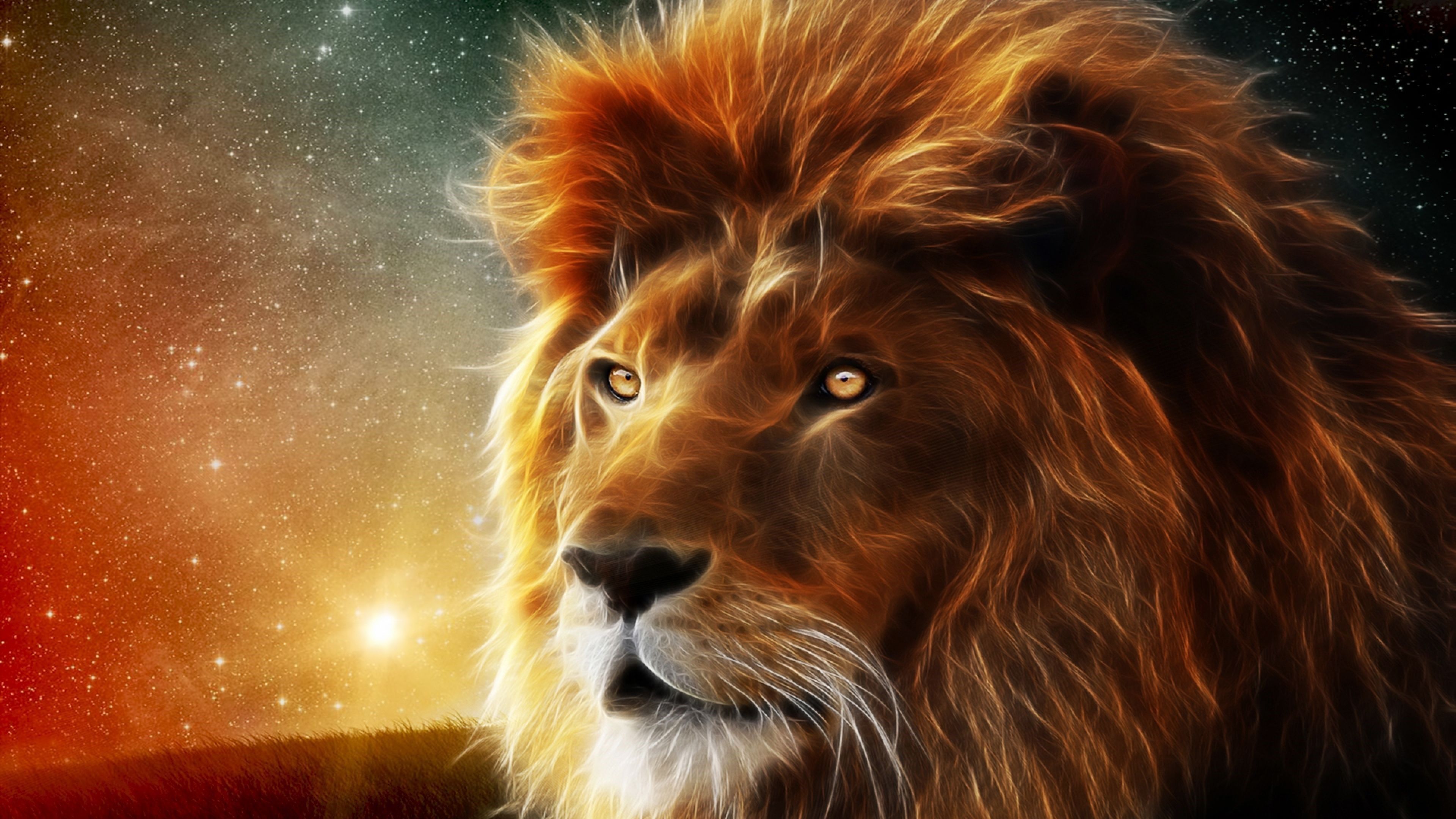 3840x2160 Lion Wallpaper HD