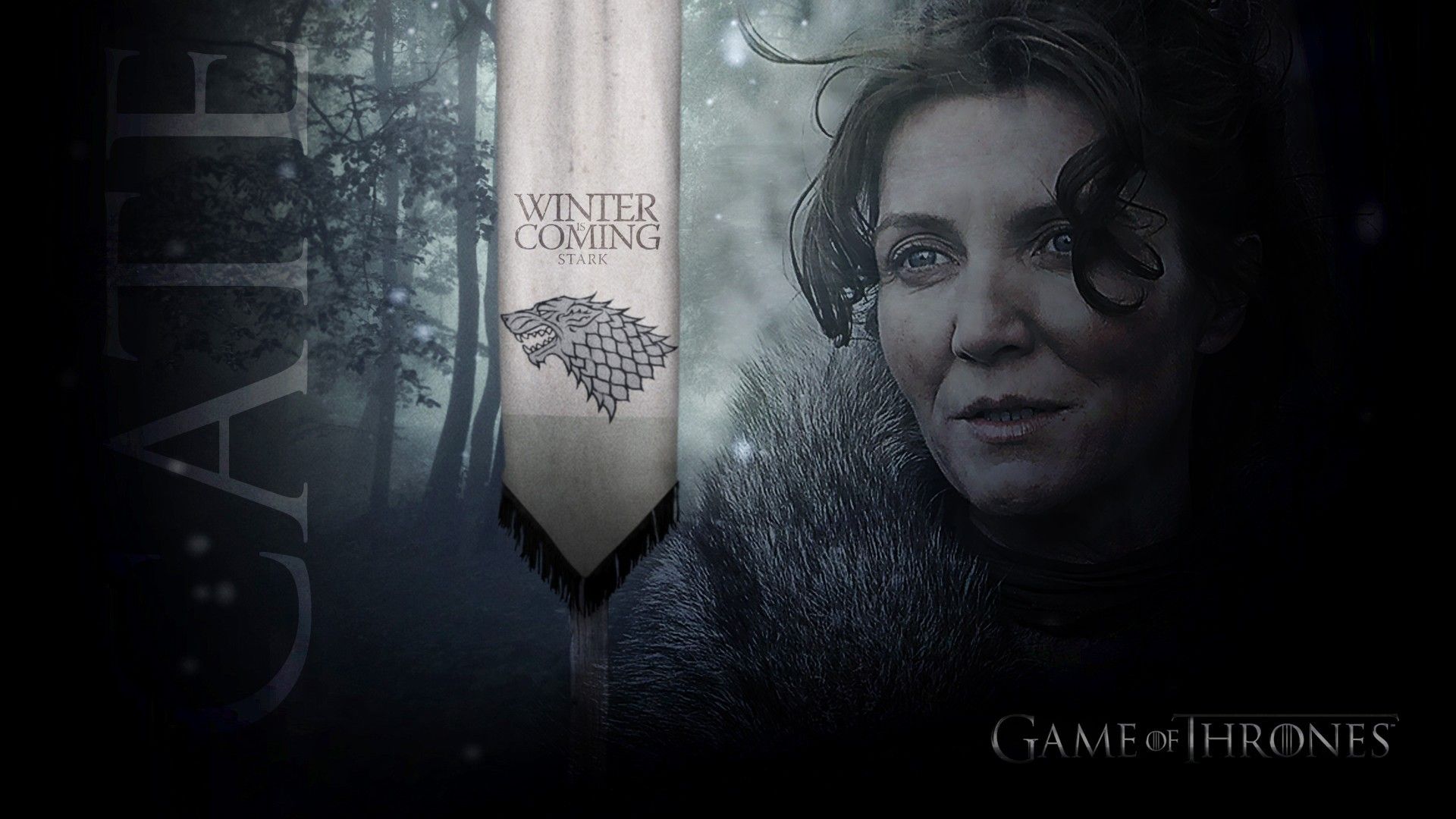 1920x1080 Game Of Thrones, Catelyn Stark Wallpaper HD / Desktop and Mobile Background