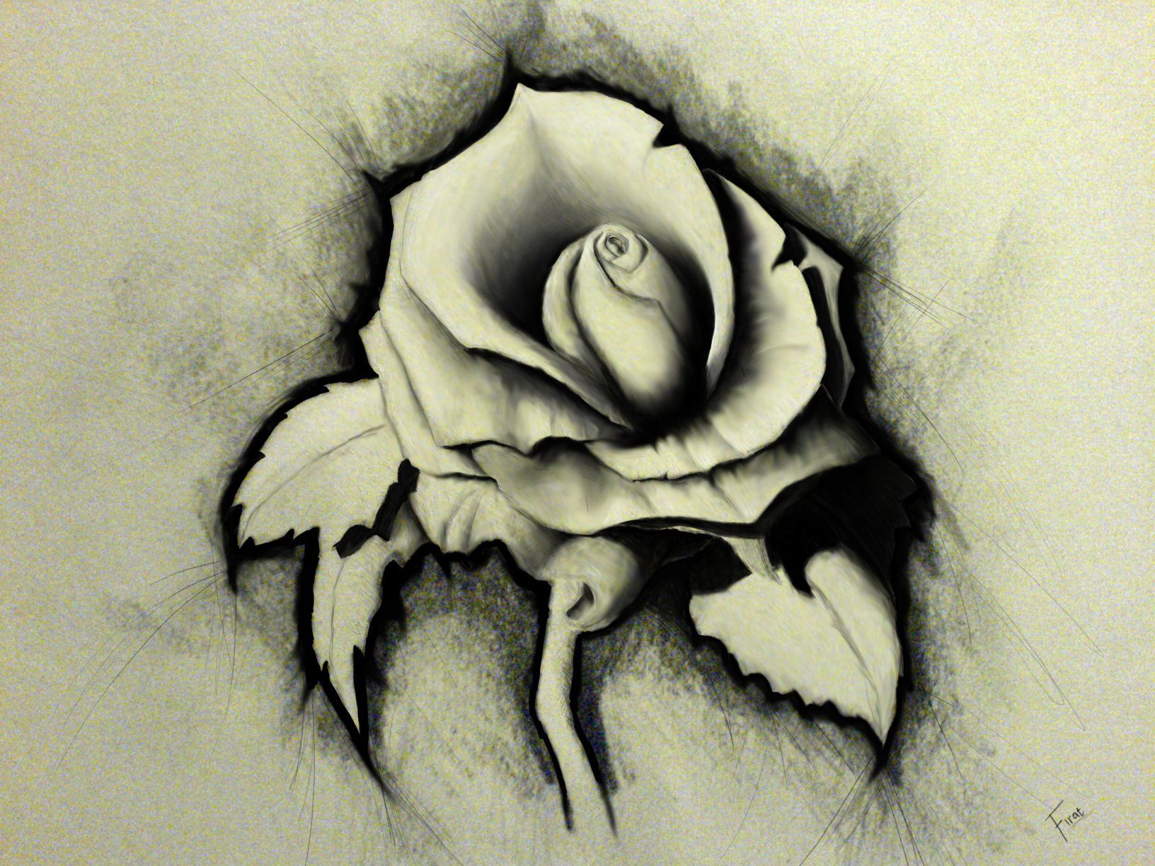 1632x1224 Artistic Rose Drawing Wallpaper