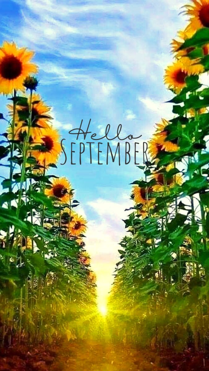 675x1200 Hello September Wallpaper Hello September IPhone wallpaper Hello September background