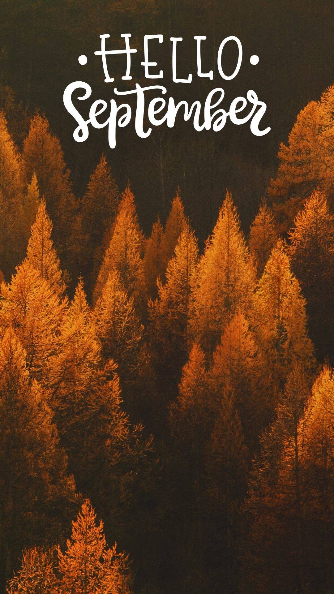 1080x1920 Free Phone September Wallpaper Penny Pincher