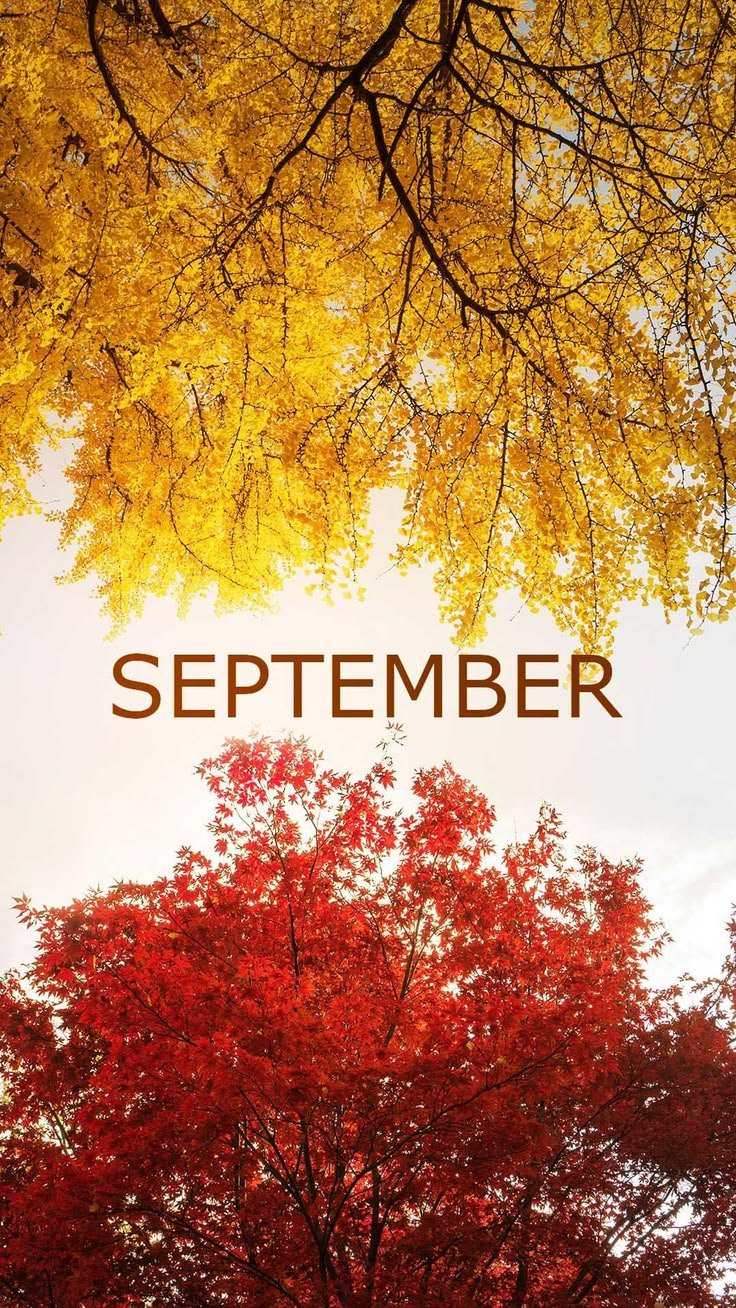 736x1308 September Wallpaper