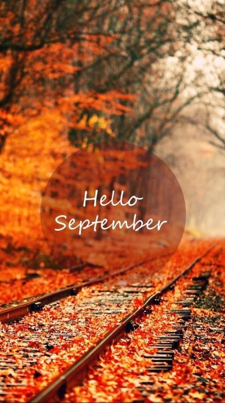 736x1318 Hello September iPhone Wallpaper. September picture fall, Autumn name background, Hello september image aesthetic