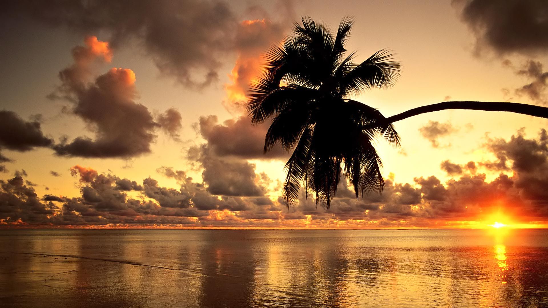 1920x1080 Hawaii Beach Sunset [1920x1080]