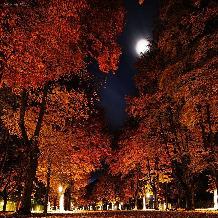 Autumn Moon Wallpapers Top Free Autumn Moon Backgrounds Wallpaperaccess