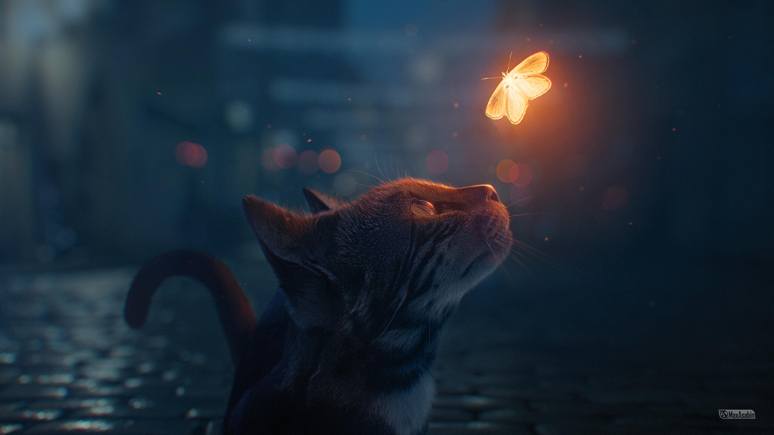 2560x1440 Max Asabin
