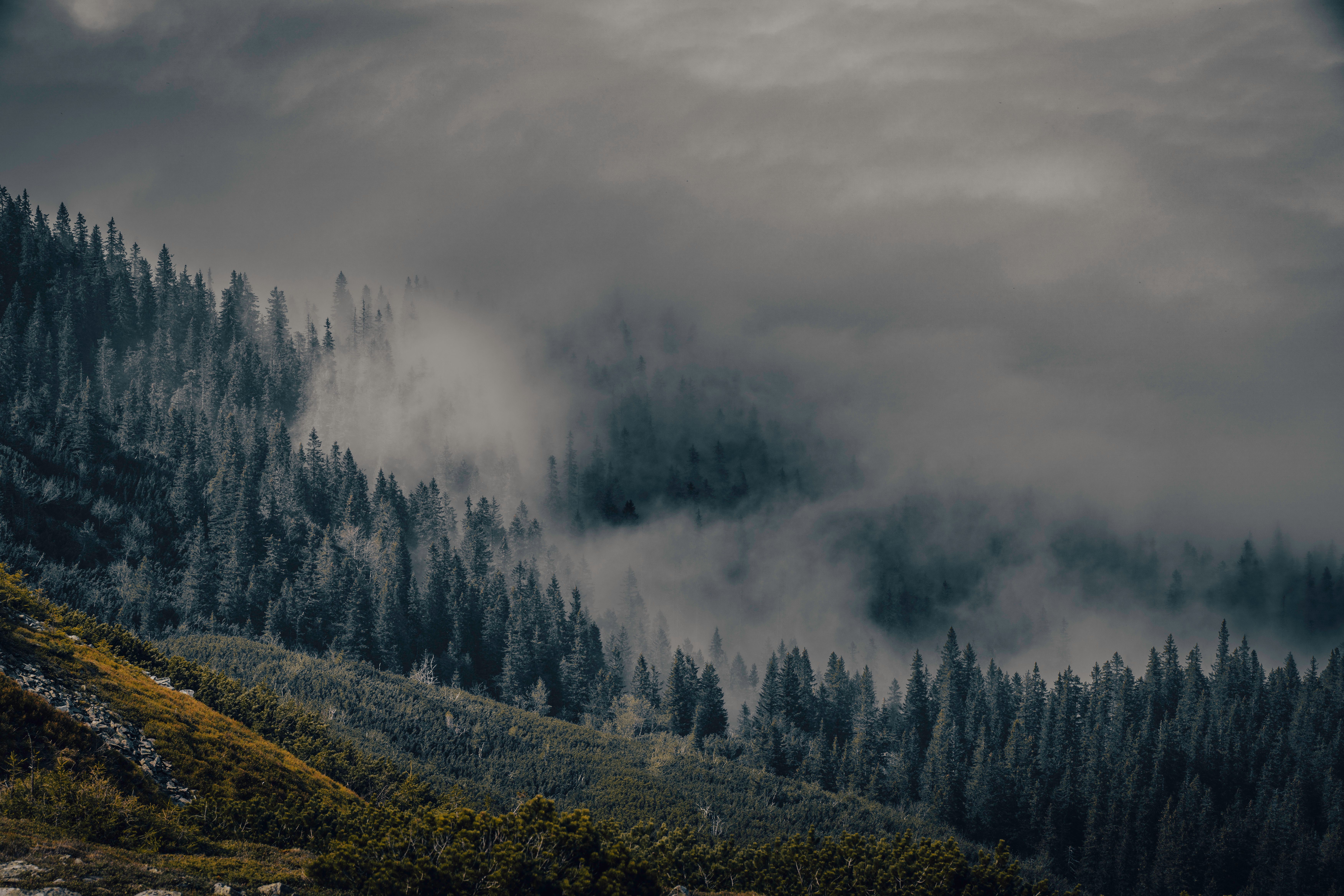 7000x4667 Best Nature Wallpaper Photo · 100% Free Downloads