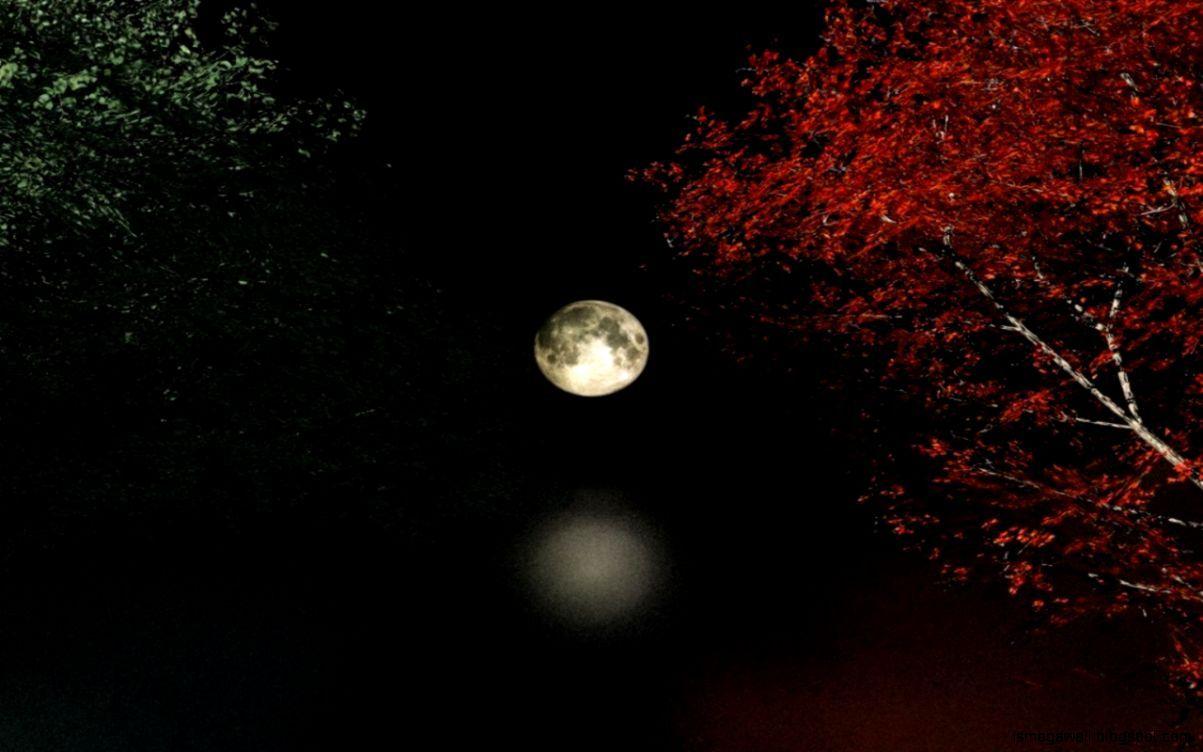 Autumn Moon Wallpapers - Top Free Autumn Moon Backgrounds - WallpaperAccess