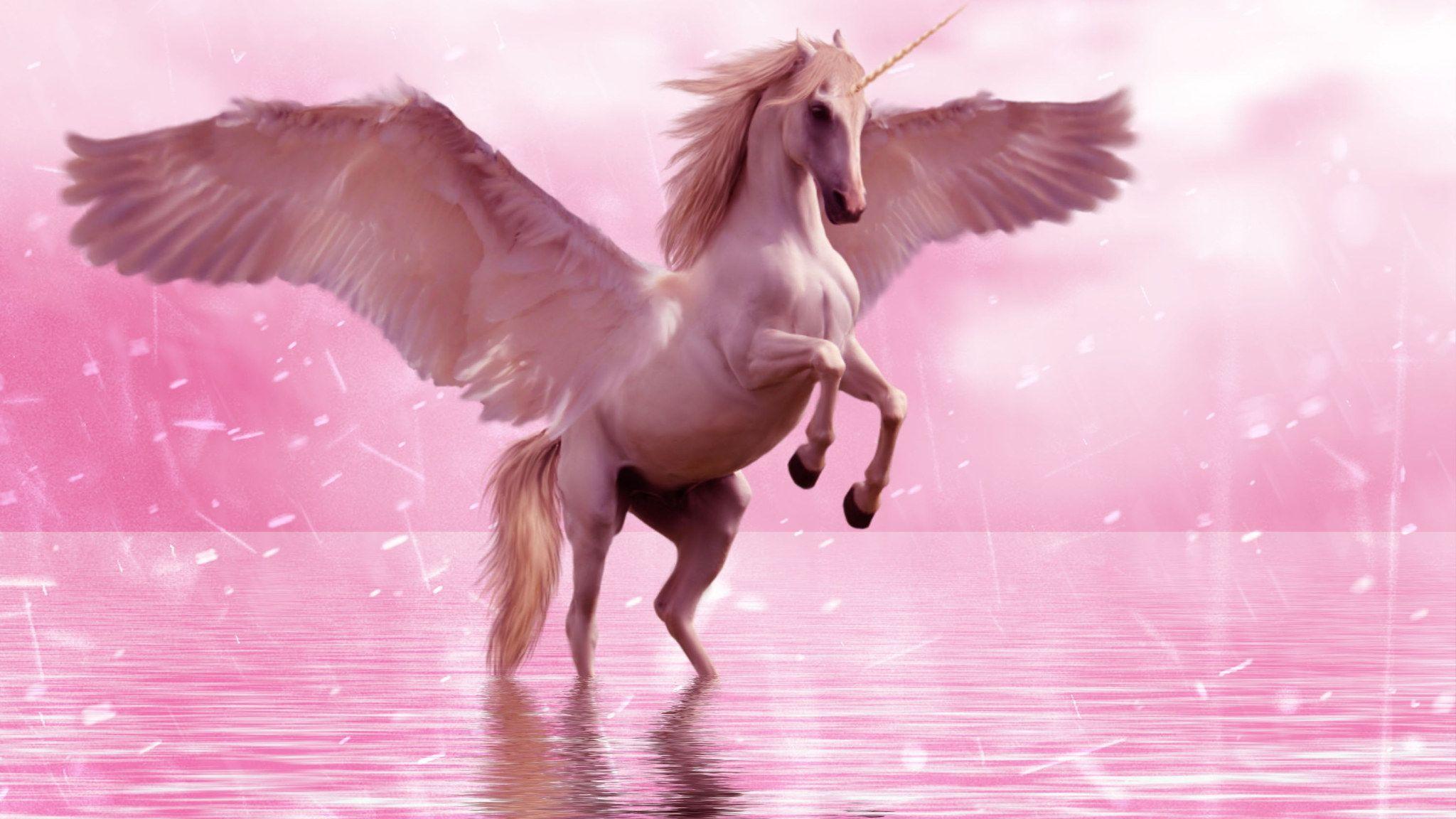 2048x1152 Unicorn on body of water wallpaper, wings, horse, fantasy, animal • Wallpaper For You HD Wallpaper For Desktop & Mobile