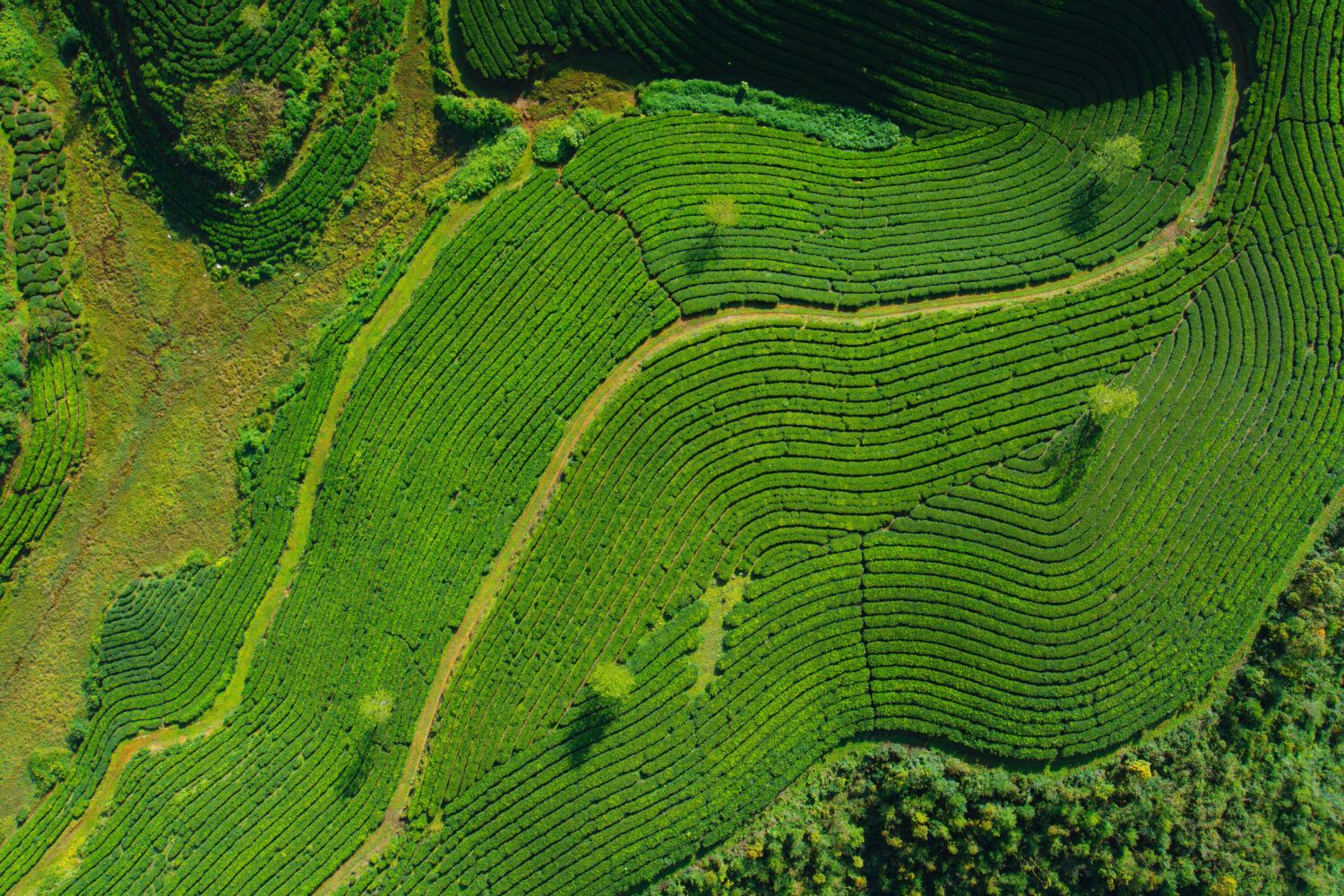 1500x1000 Aerial landscape wallpaper for iPhone, iPad