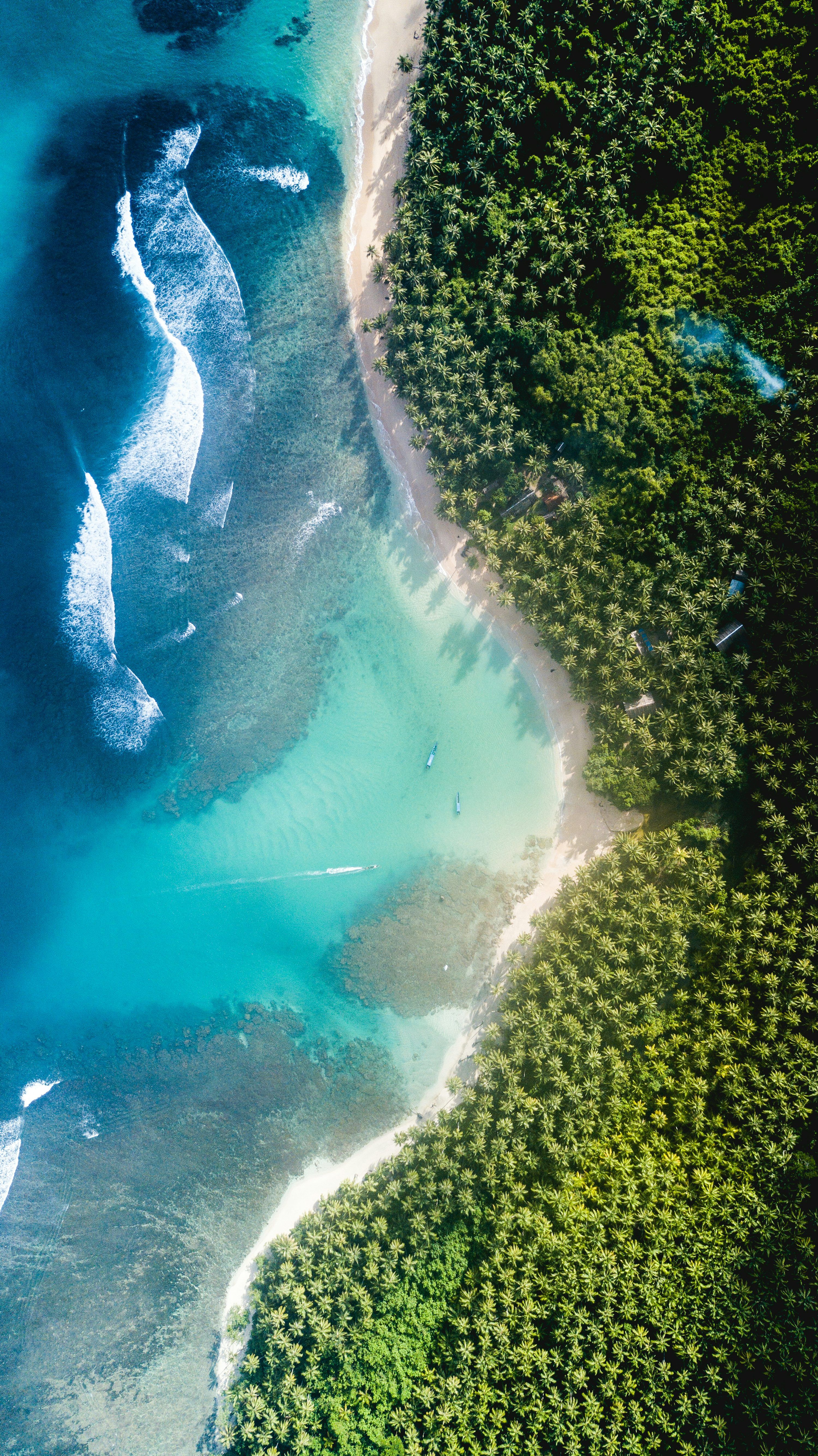 3000x5342 Nature Phone Wallpaper 4K & HD Downloads
