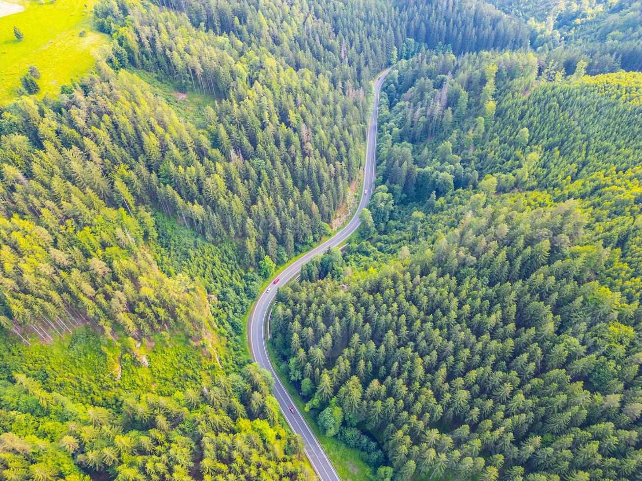 1307x980 Nature wallpaper, Nature landscape, Long Winding Road Through a Lush Green Forest