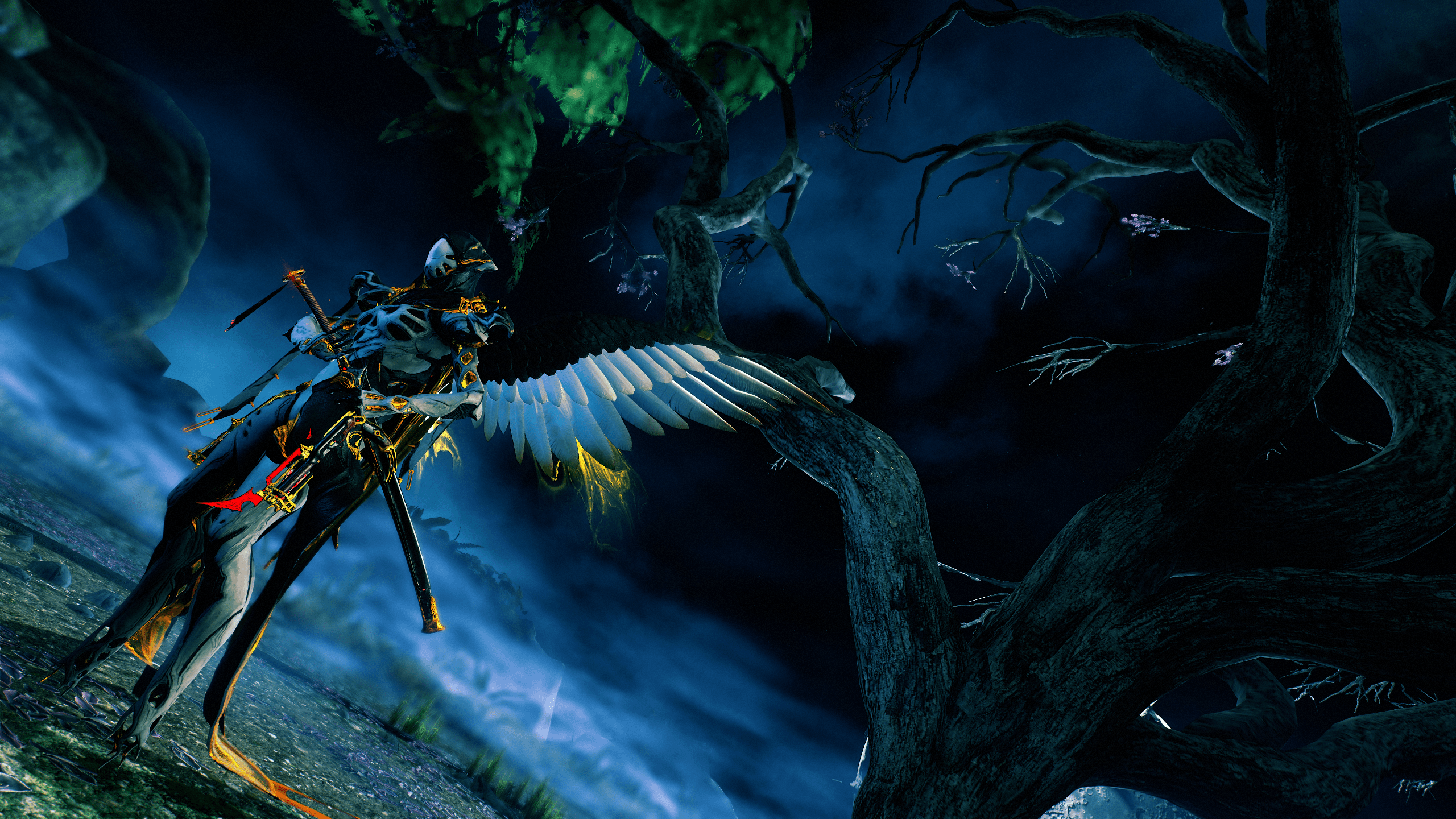 2560x1440 captura de wisp de warframe dans la cour d'Umbra.